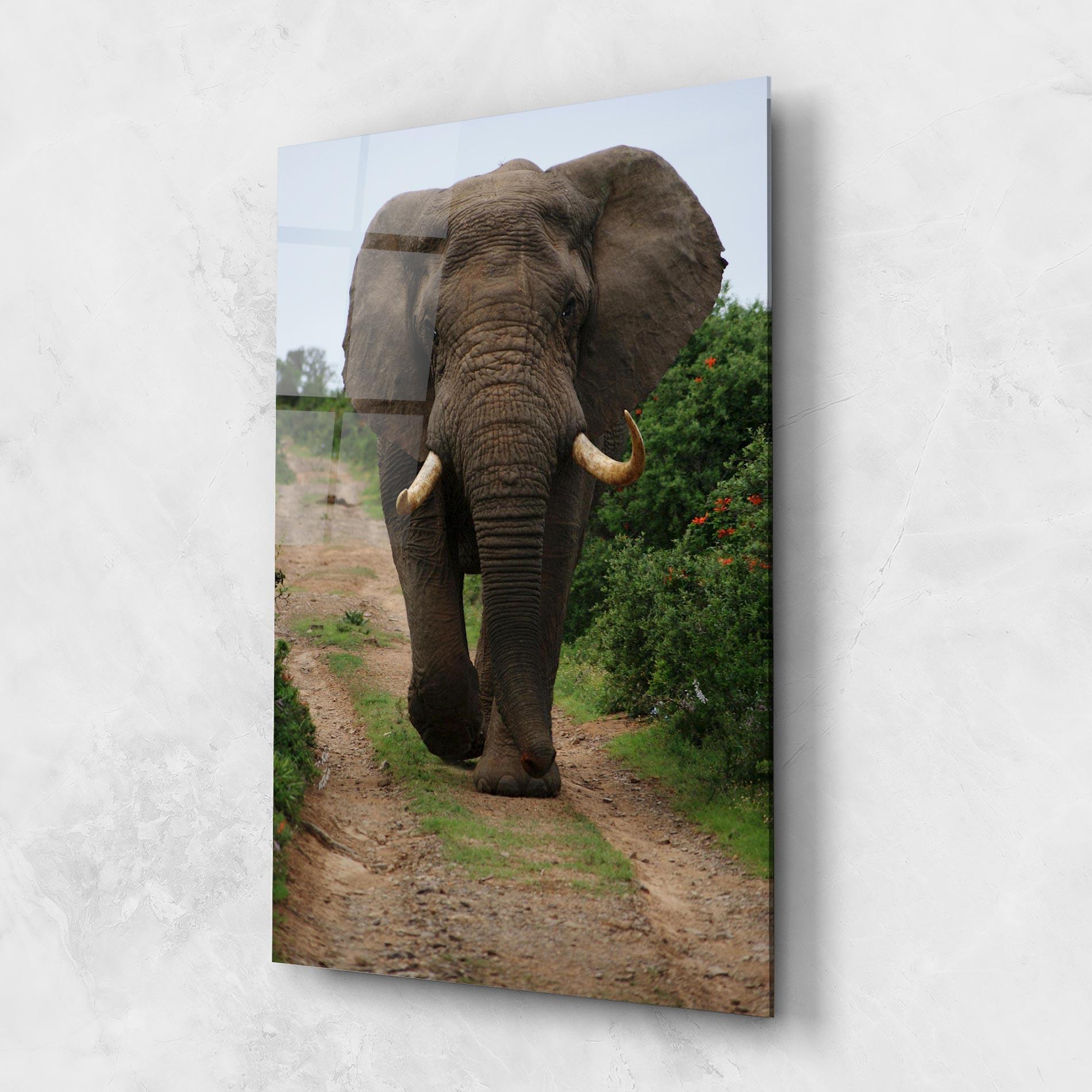 Tablou Sticla Elephant Safari mockup 1