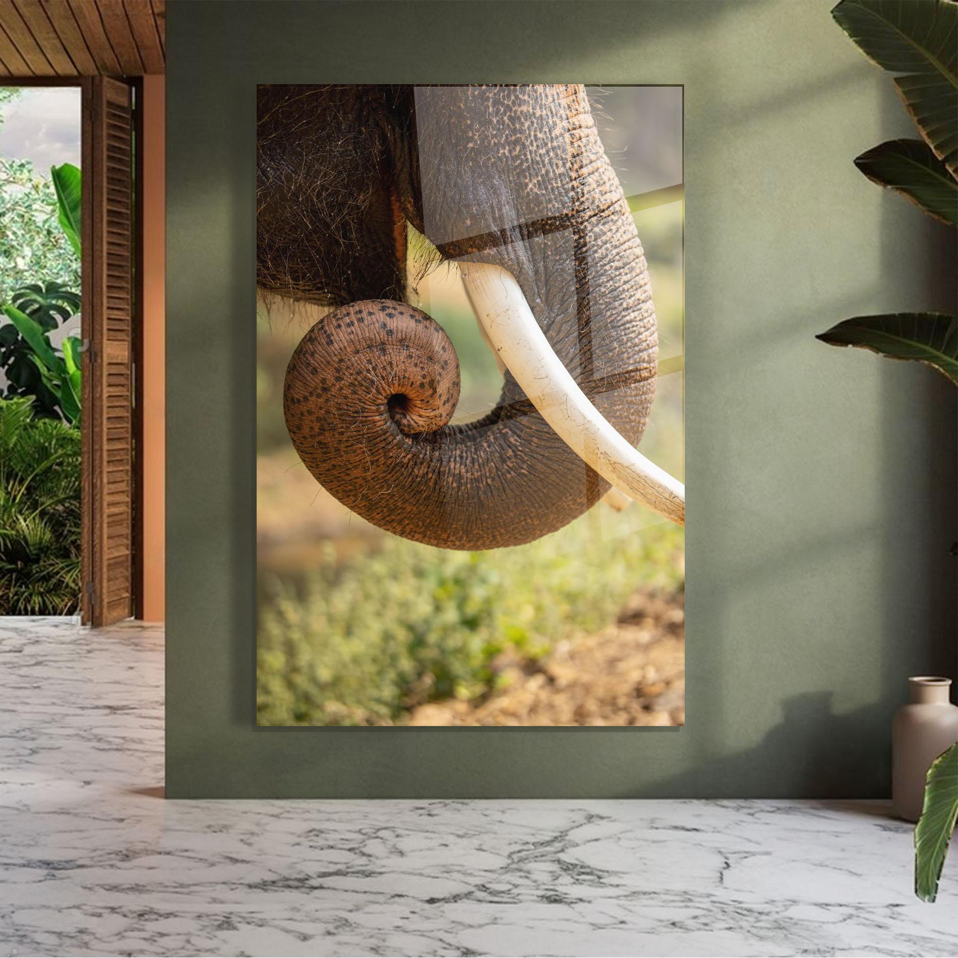 Tablou Sticla Elephant Mouth Close Up mockup 7