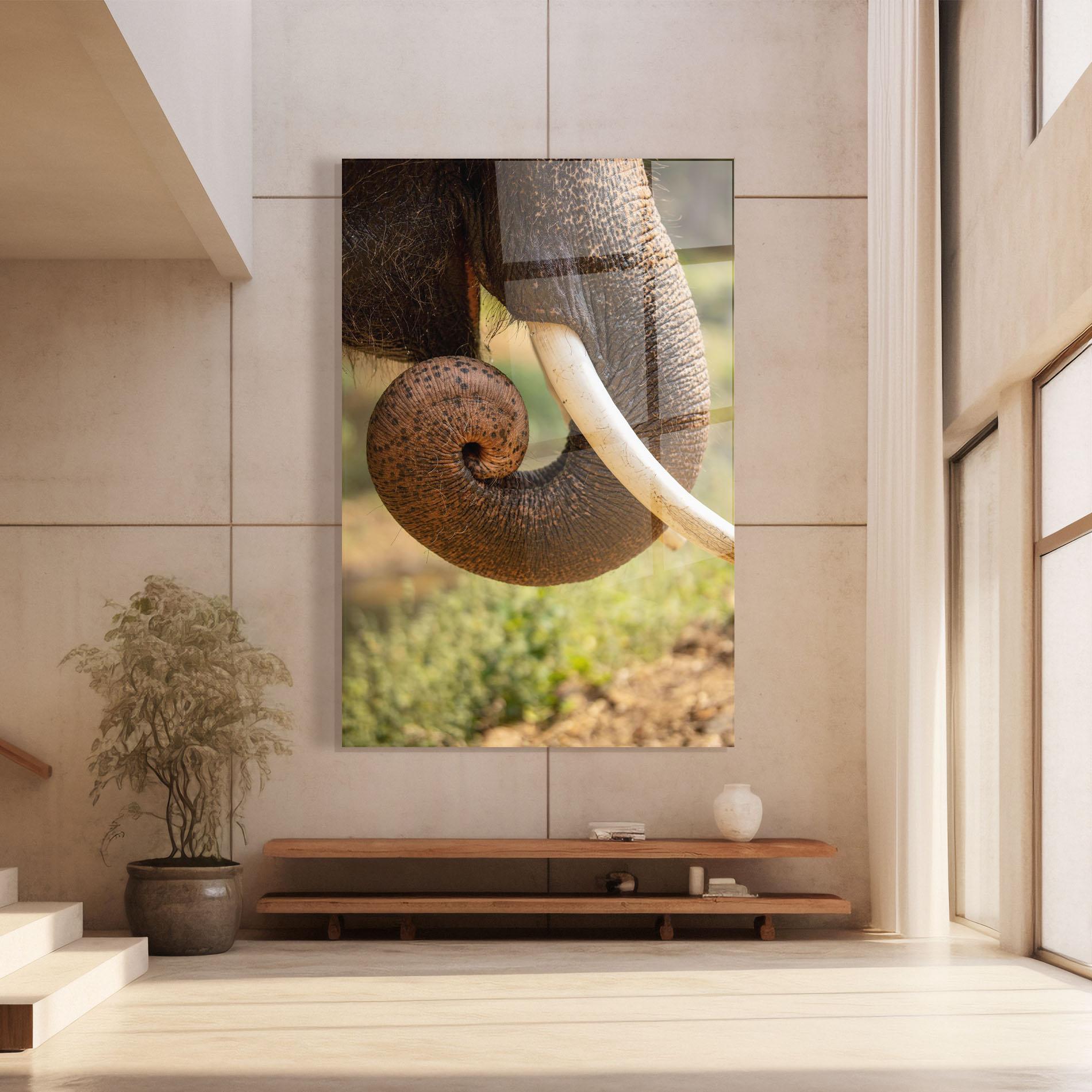 Tablou Sticla Elephant Mouth Close Up mockup 8