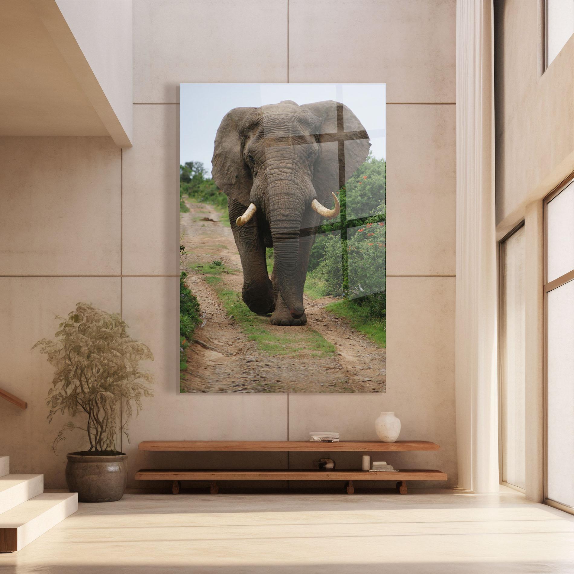 Tablou Sticla Elephant Safari mockup 8