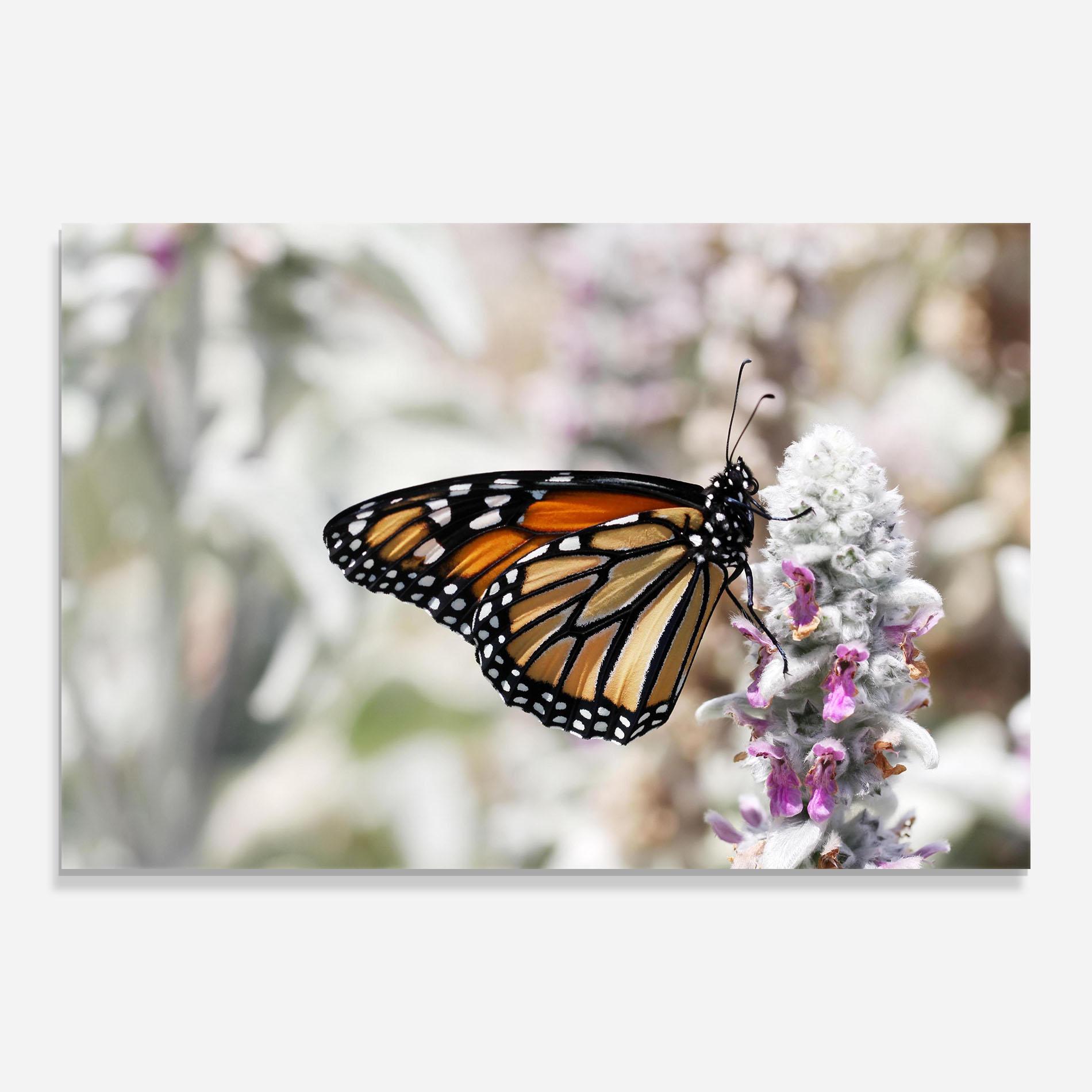 Tablou Sticla Beauty Butterfly mockup 0