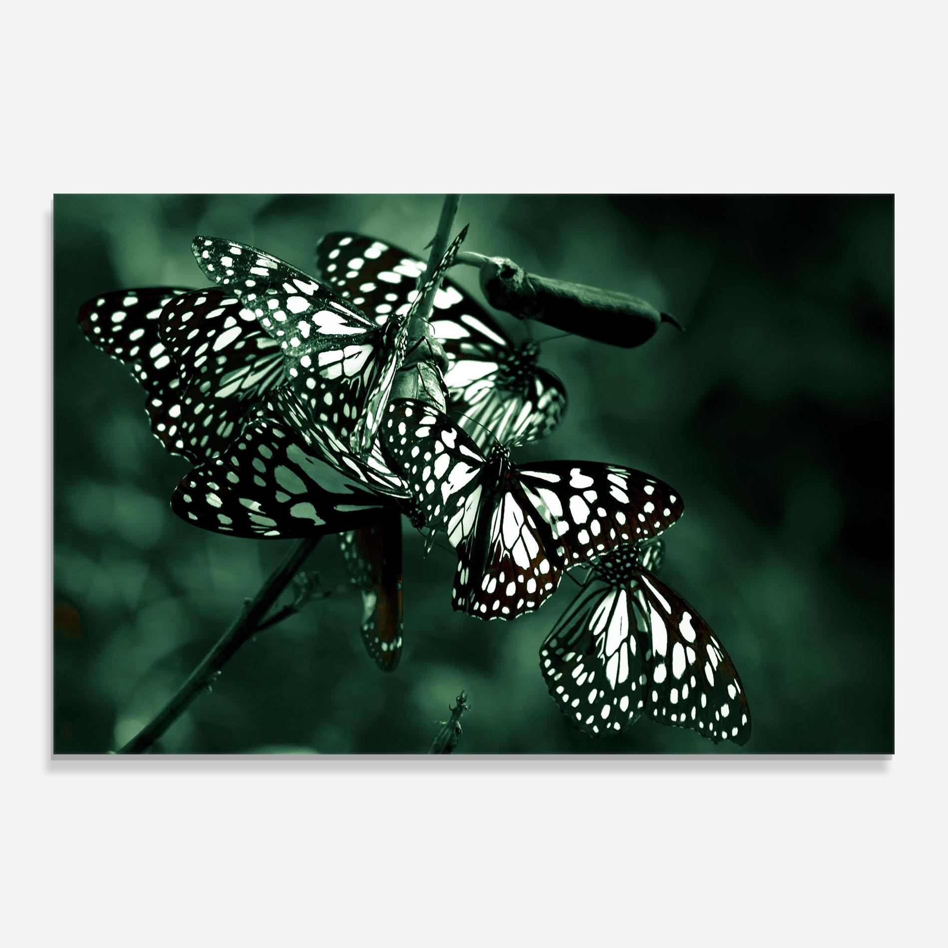Tablou Sticla Black White Butterflies mockup 0