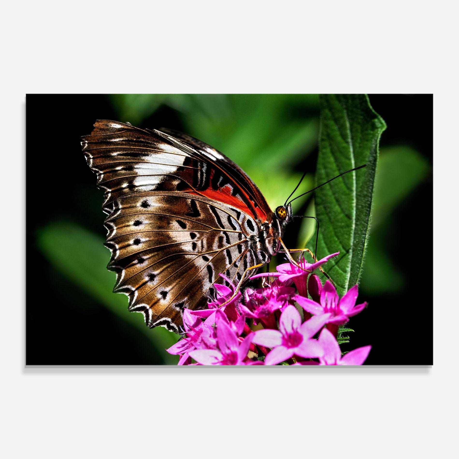 Tablou Sticla Brown Red Butterfly mockup 0