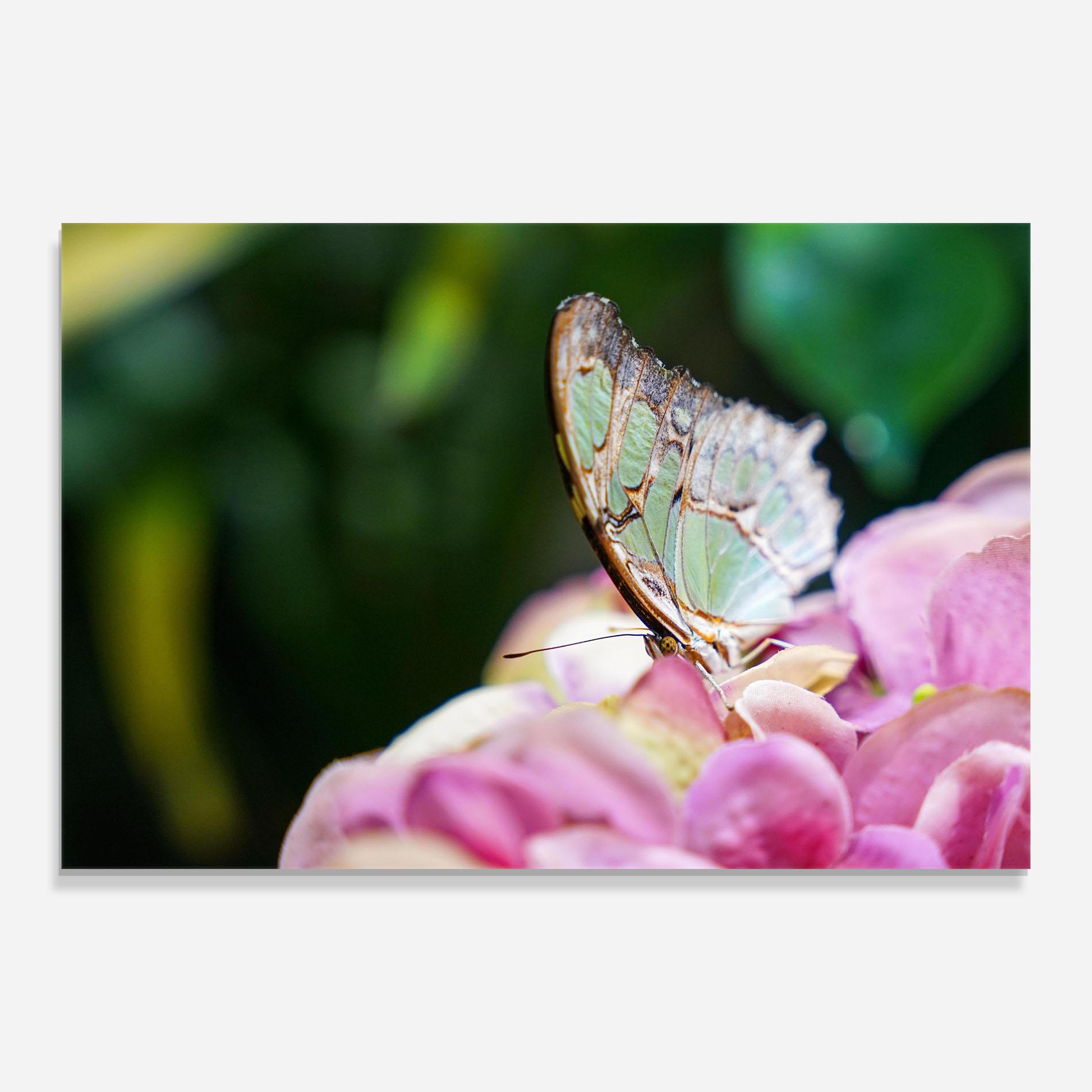 Tablou Sticla Nazrin Babashova Diuumqmfwys Unsplash mockup 0