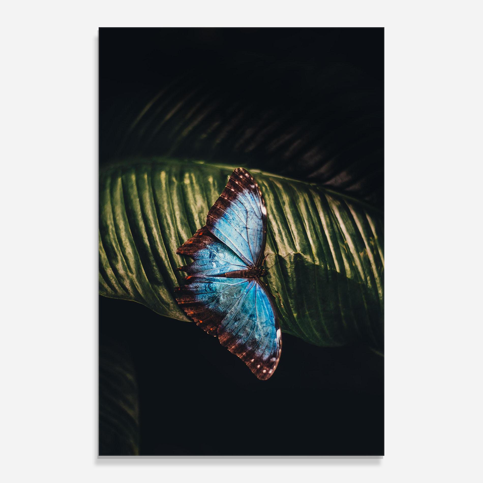Tablou Sticla Light Blue Butterfly mockup 0