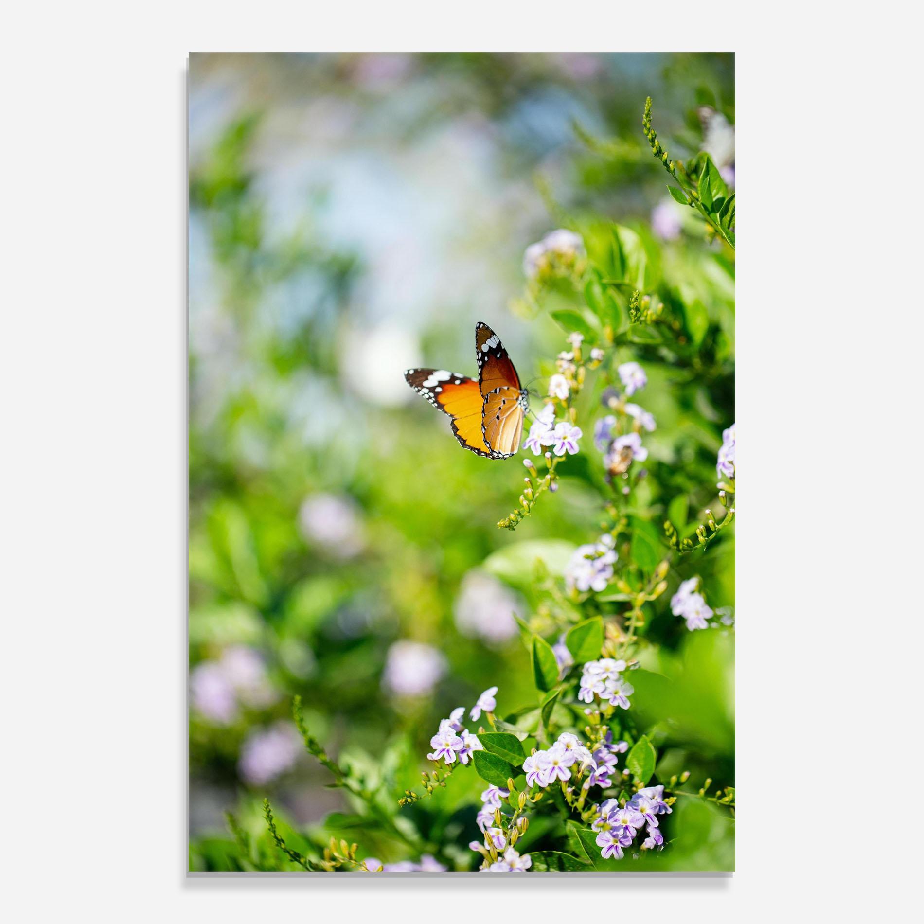 Tablou Sticla Little Orange Elephant mockup 0