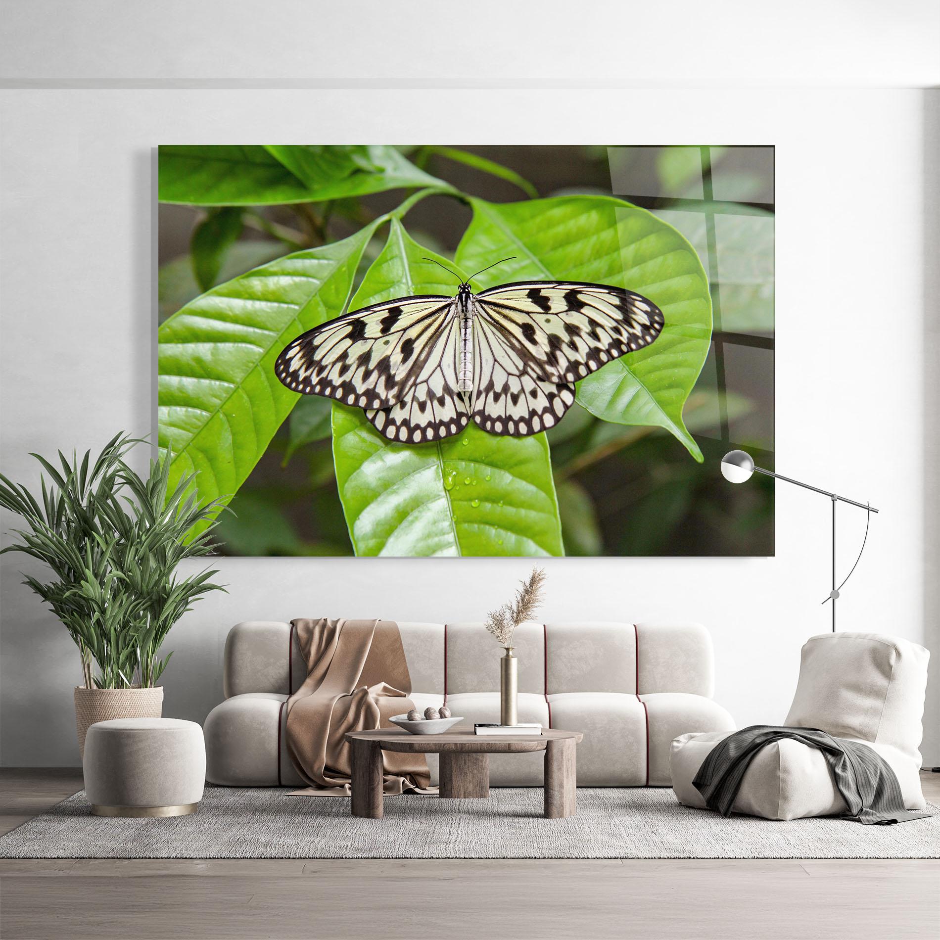 Tablou Sticla Beautiful White Butterfly mockup 9