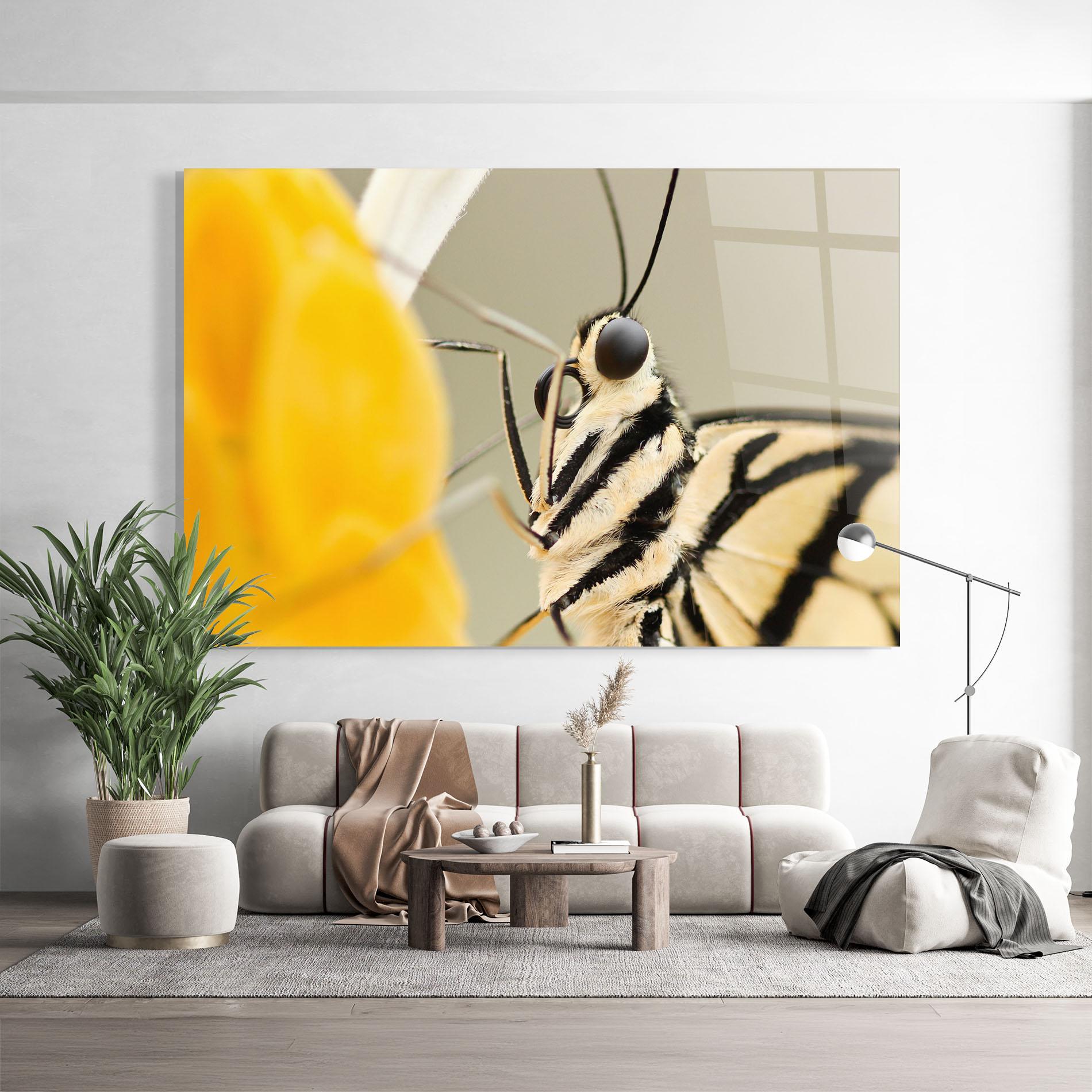 Tablou Sticla Close Up Cream Butterfly mockup 9