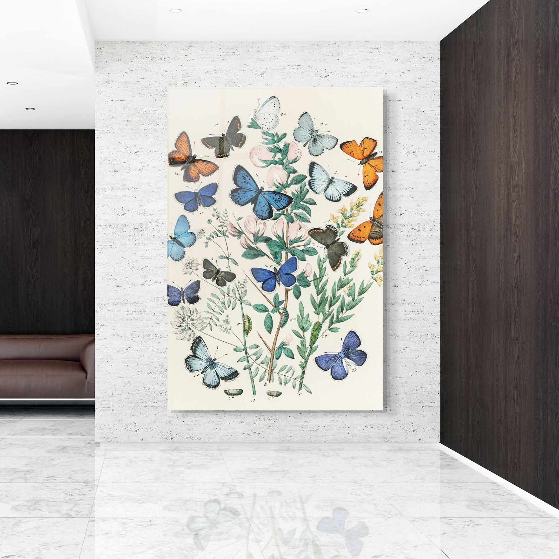 Tablou Sticla Blue Orange Butterflies mockup 9