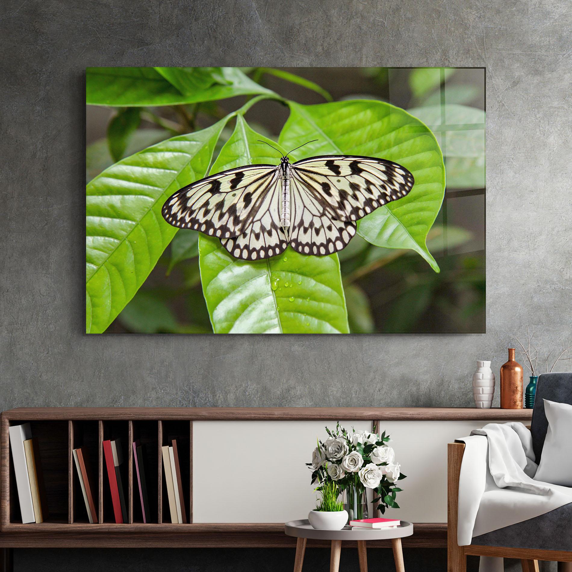 Tablou Sticla Beautiful White Butterfly mockup 2