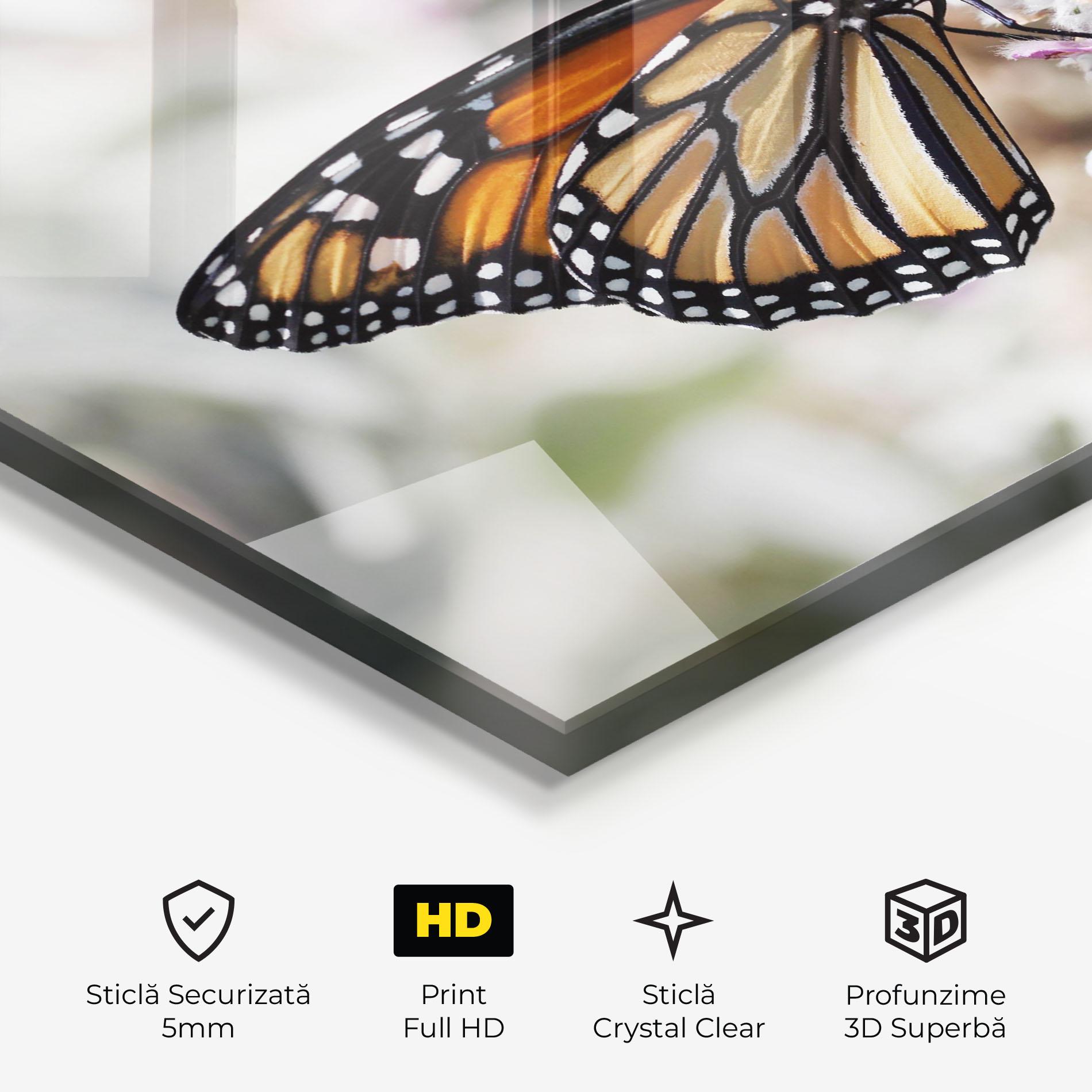 Tablou Sticla Beauty Butterfly mockup 3