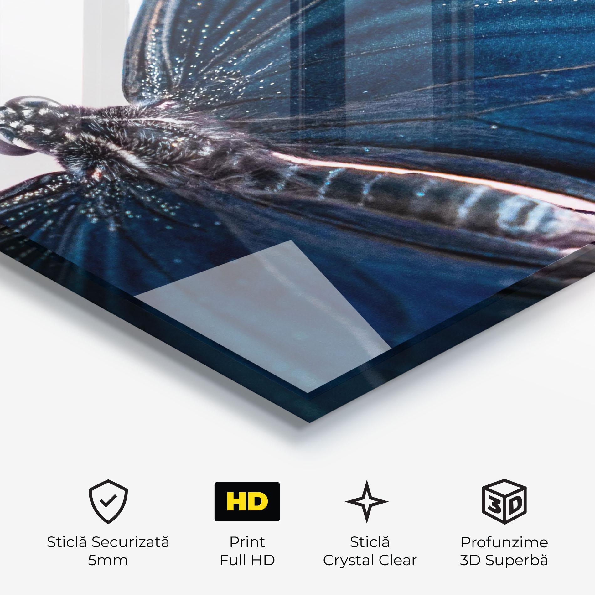 Tablou Sticla Blue Butterfly mockup 3