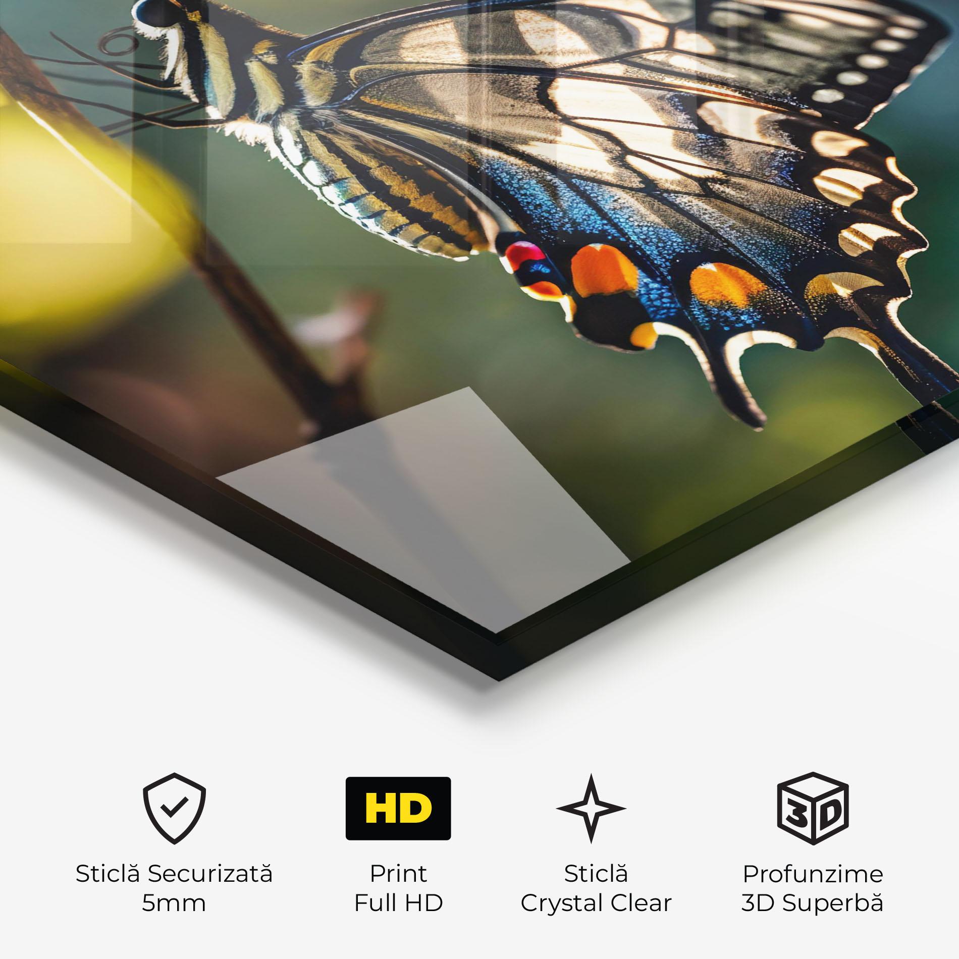 Tablou Sticla Blue Cream Butterfly mockup 3