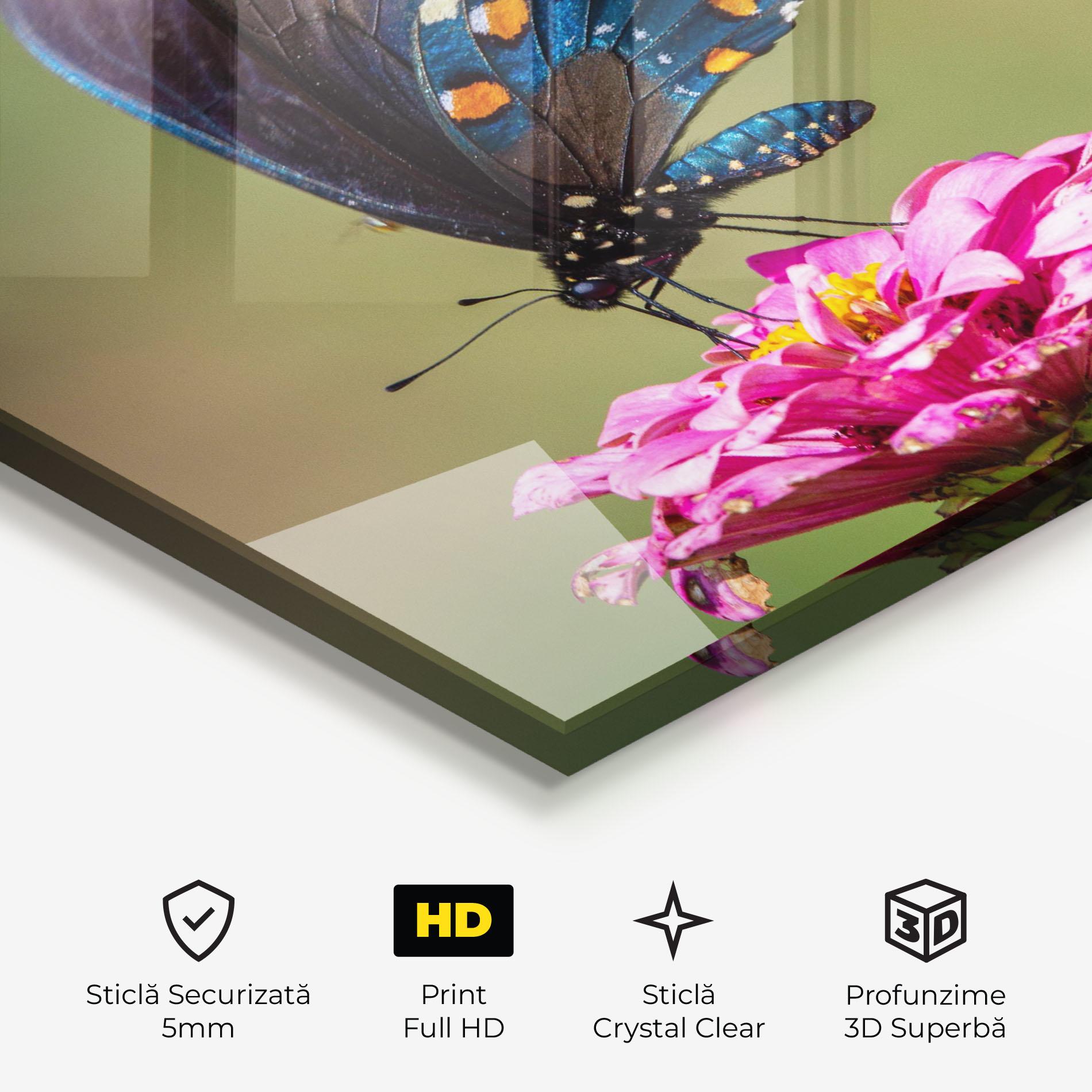 Tablou Sticla Blue Grey Butterfly mockup 3
