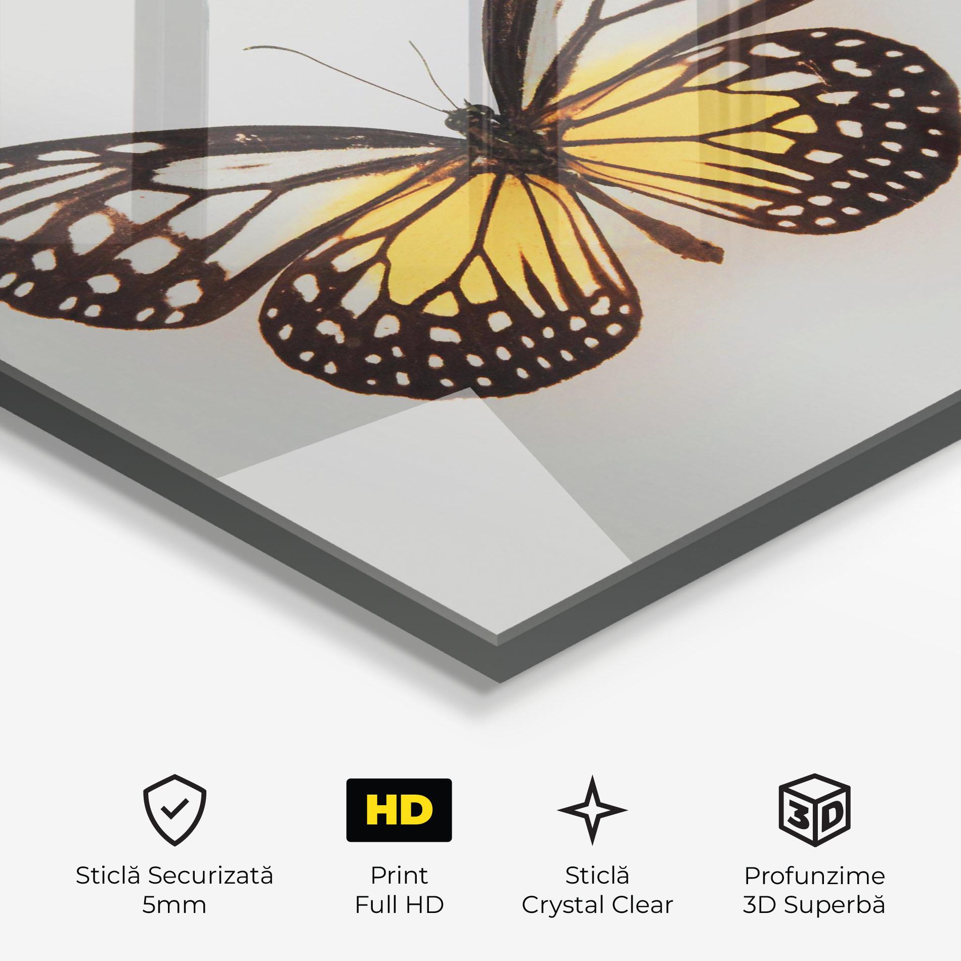 Tablou Sticla Butterfly On Grey mockup 3