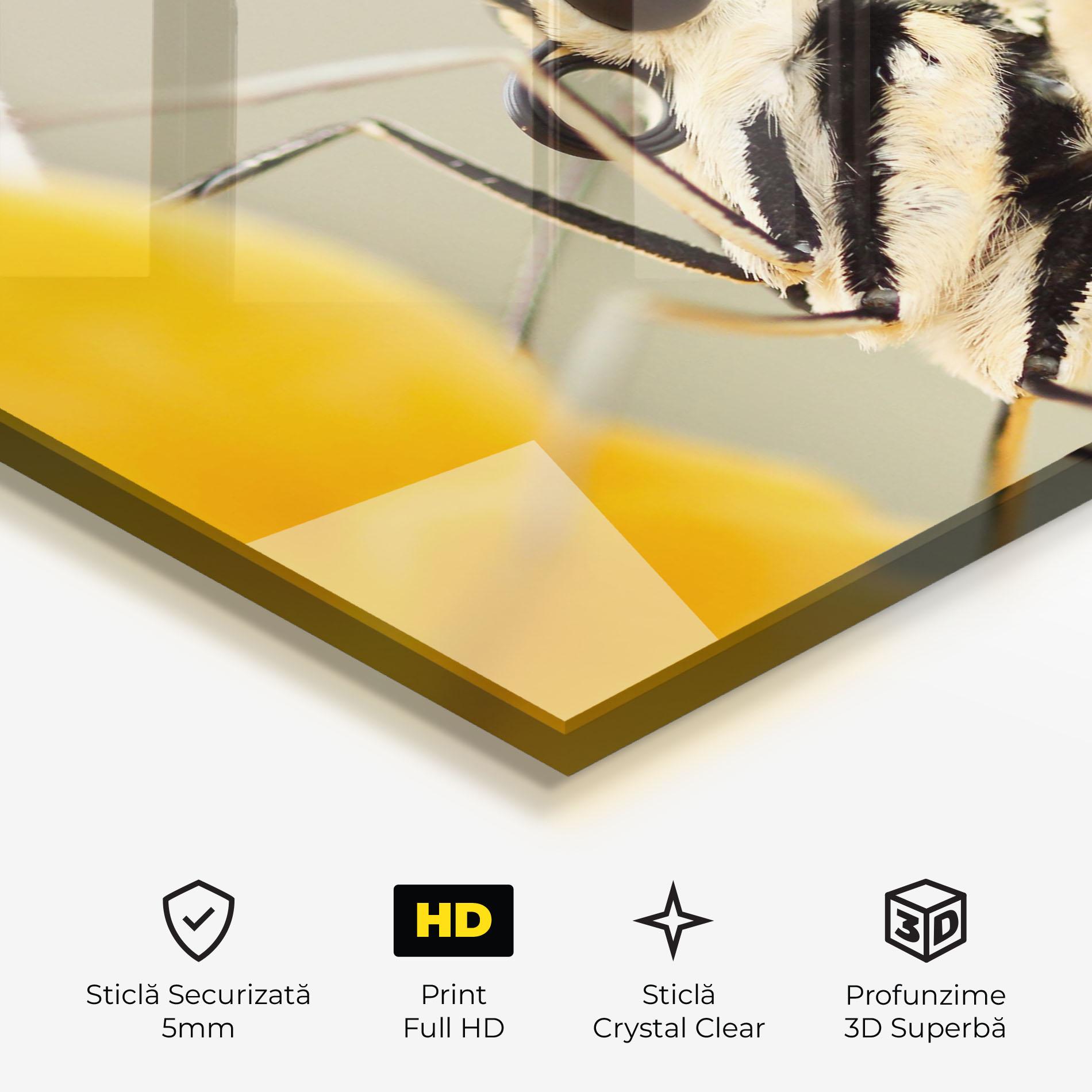 Tablou Sticla Close Up Cream Butterfly mockup 3