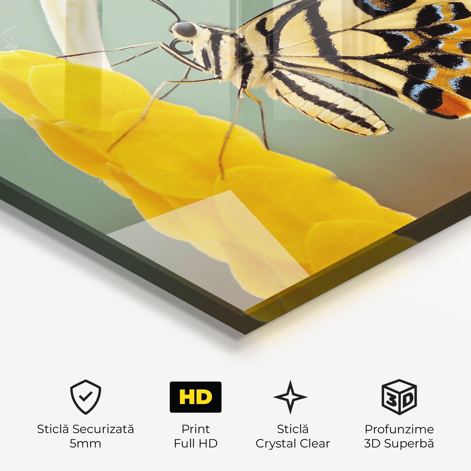 Tablou Sticla Cream Yellow Butterfly mockup 3
