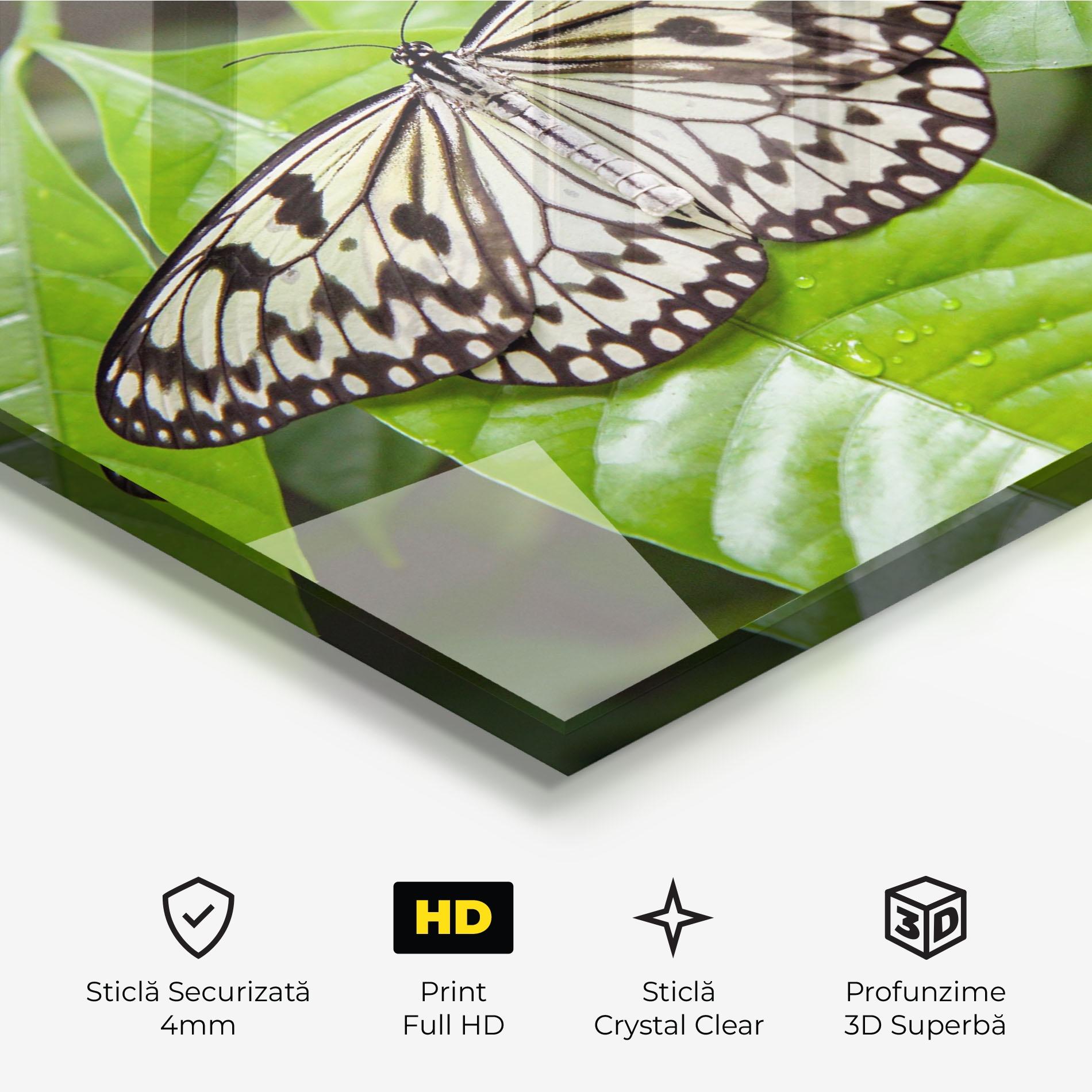 Tablou Sticla Beautiful White Butterfly mockup 3