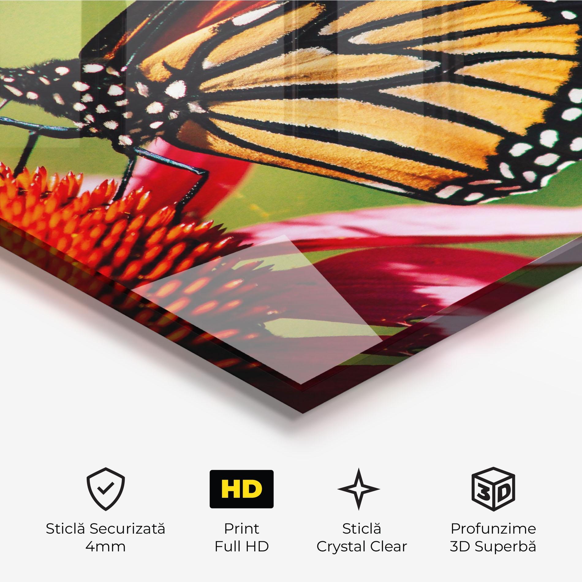 Tablou Sticla Big Orange Butterfly mockup 3