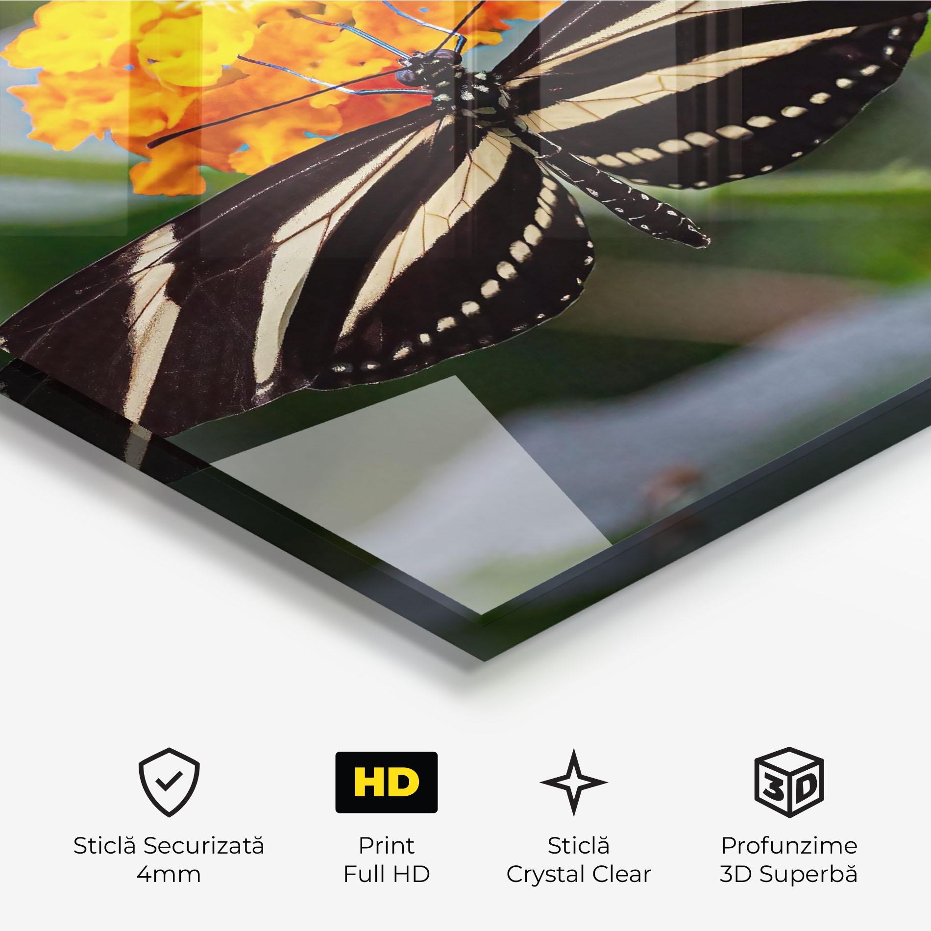 Tablou Sticla Big Wings Butterfly mockup 3