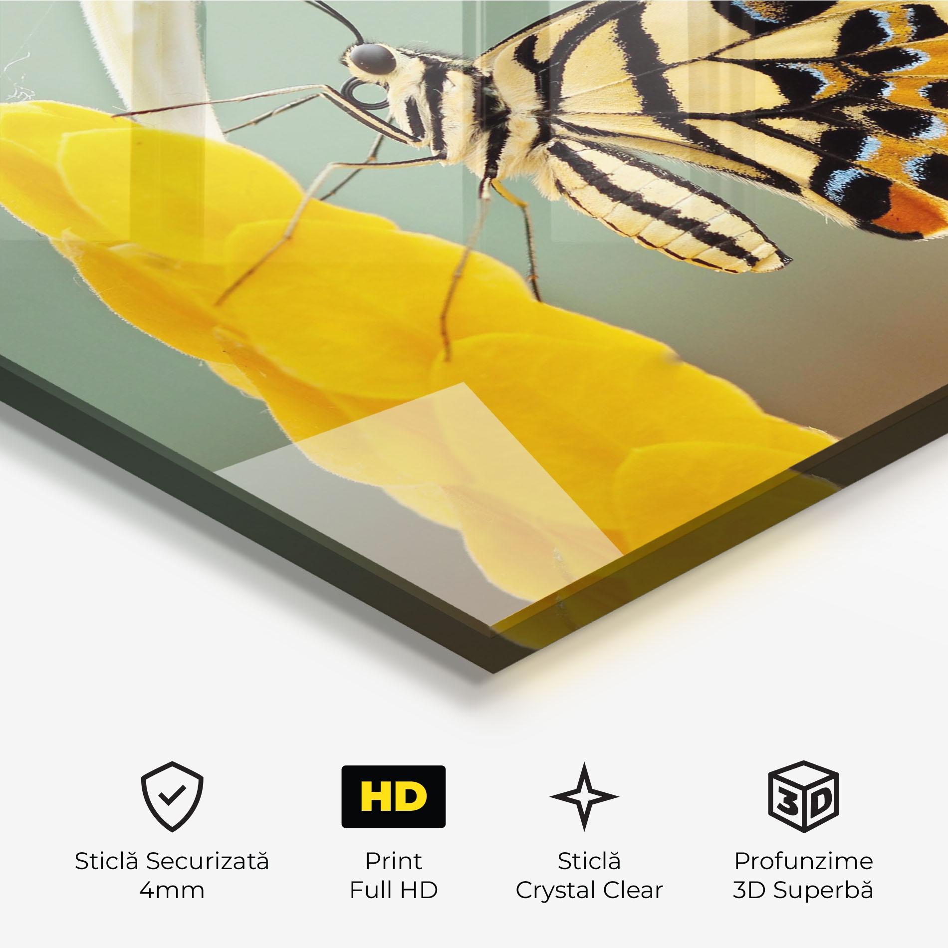 Tablou Sticla Cream Yellow Butterfly mockup 3