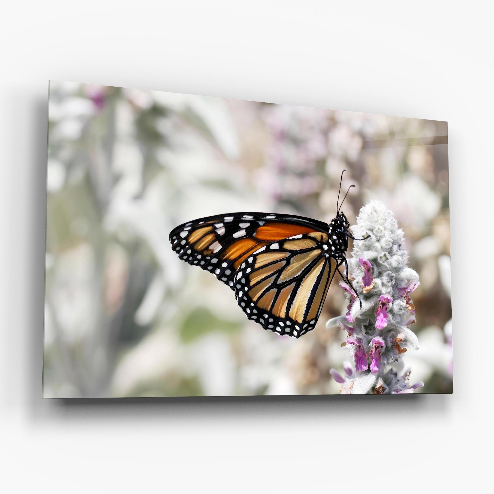Tablou Sticla Beauty Butterfly mockup 6