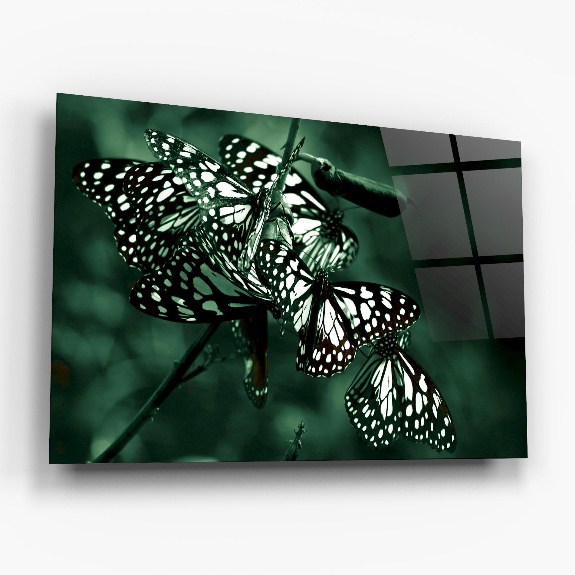Tablou Sticla Black White Butterflies mockup 6