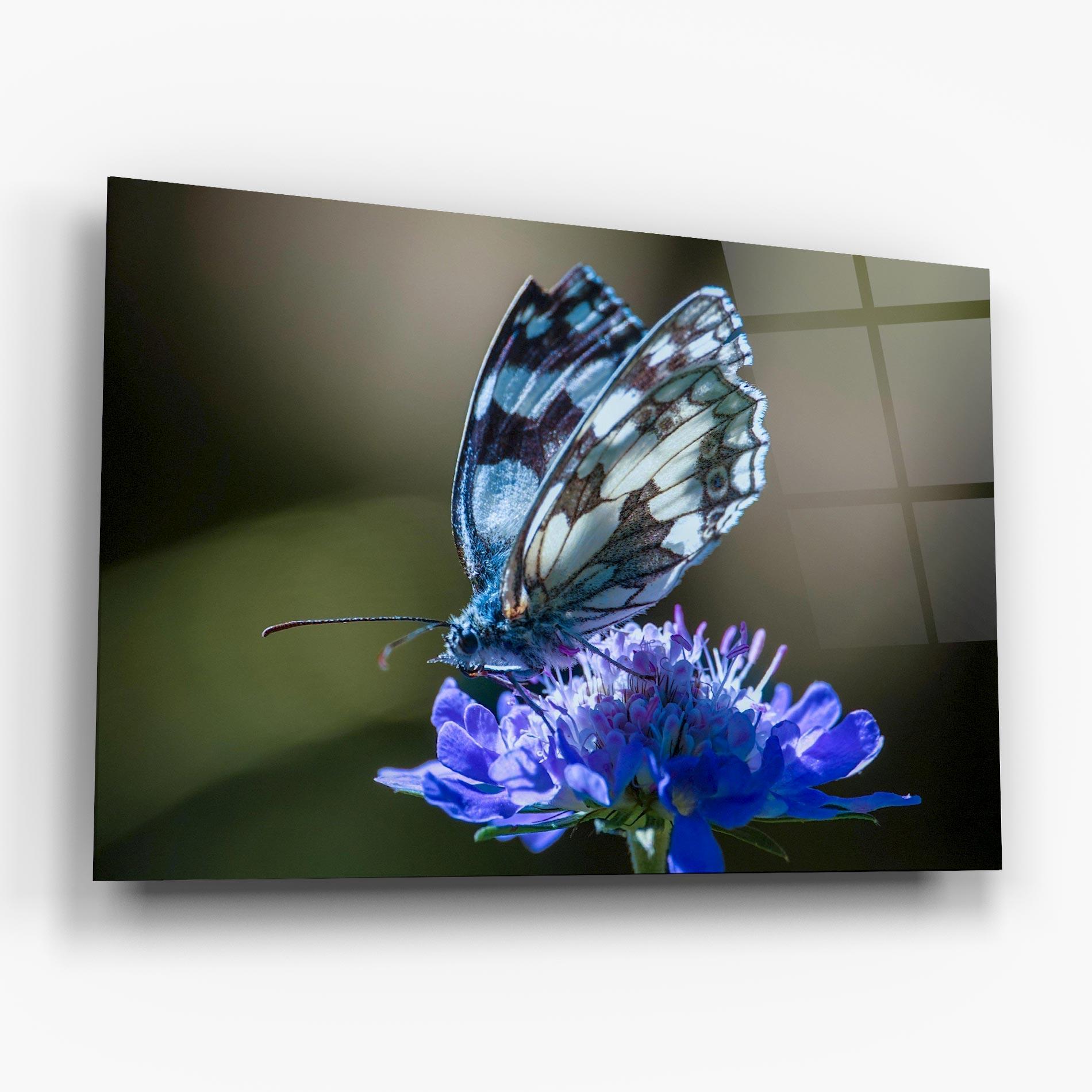 Tablou Sticla Blue Butterfly In Nature mockup 6