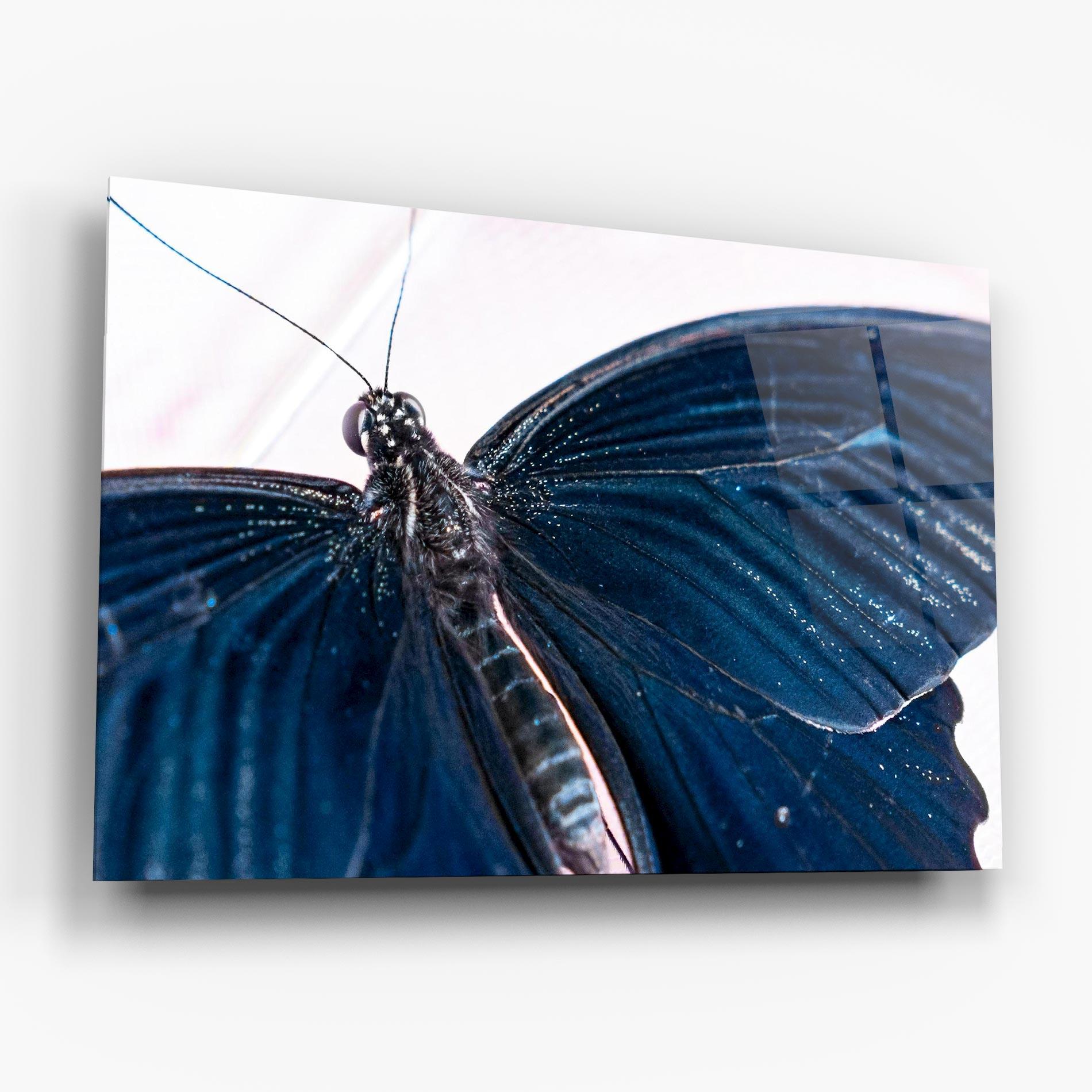Tablou Sticla Blue Butterfly mockup 6
