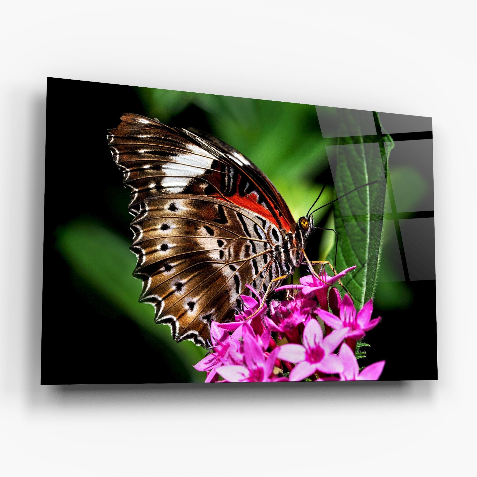 Tablou Sticla Brown Red Butterfly mockup 6