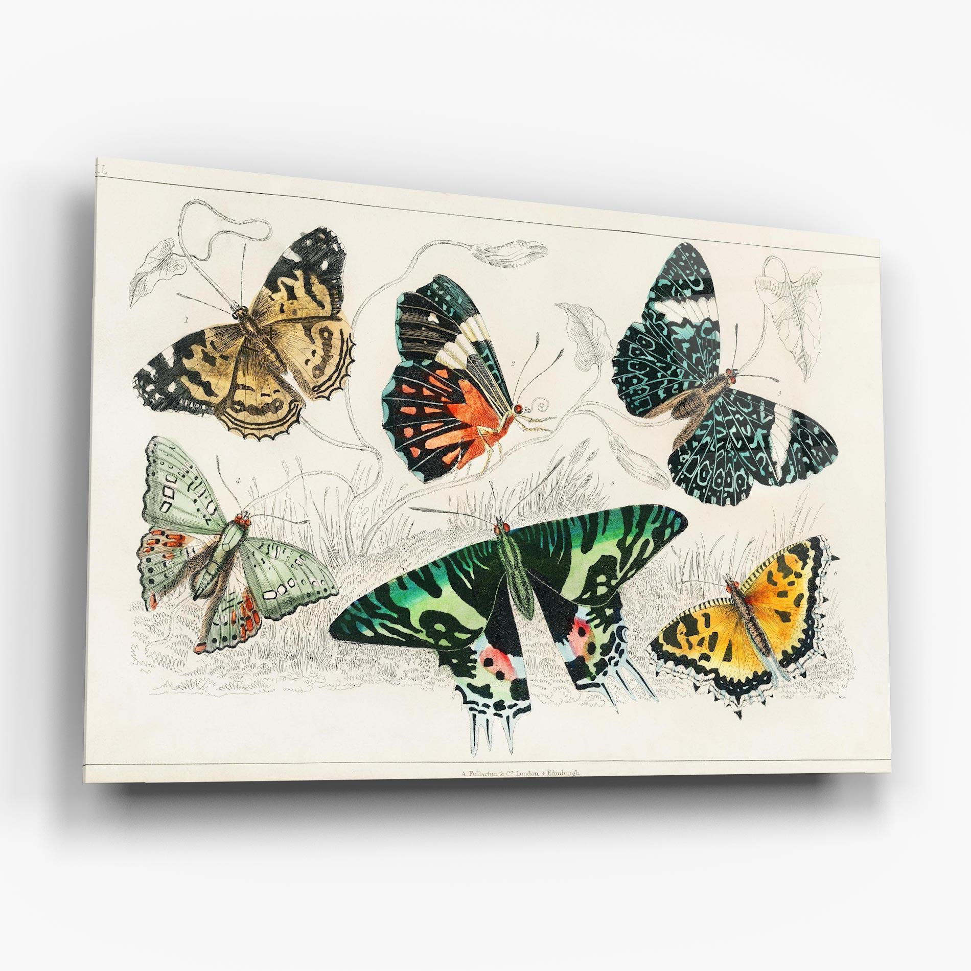 Tablou Sticla Butterfly Art mockup 6