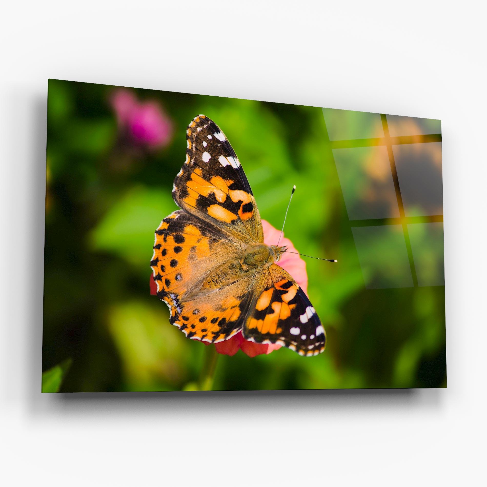 Tablou Sticla Butterfly On Flower mockup 6