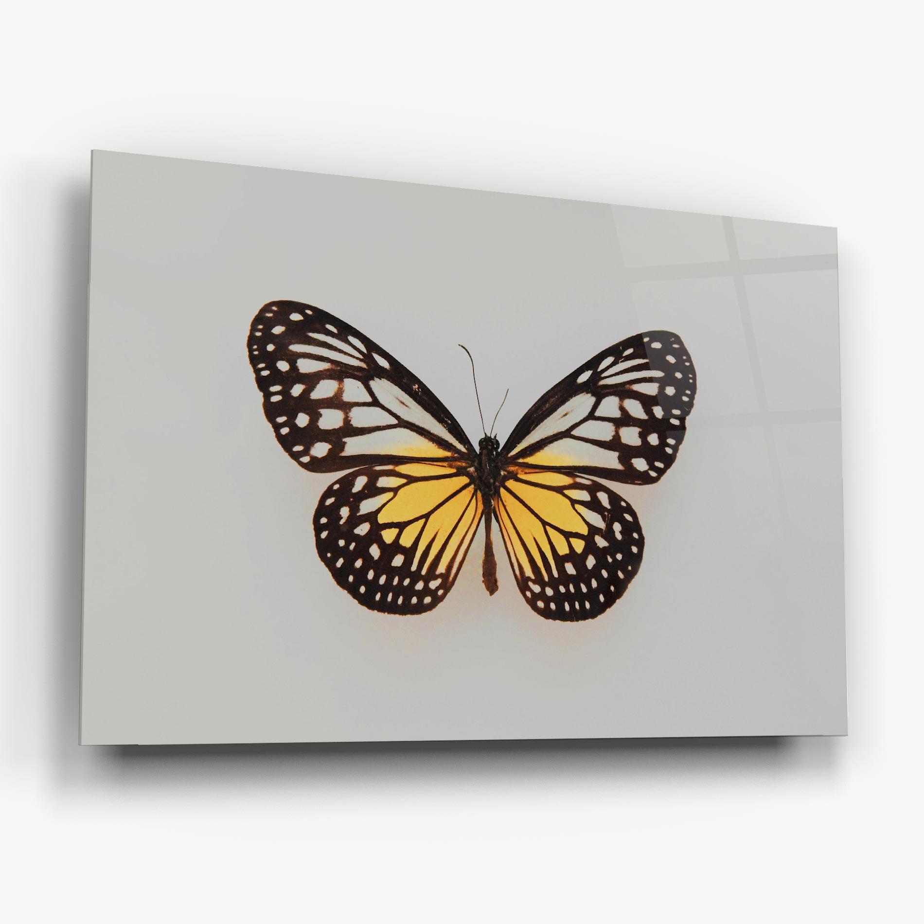 Tablou Sticla Butterfly On Grey mockup 6