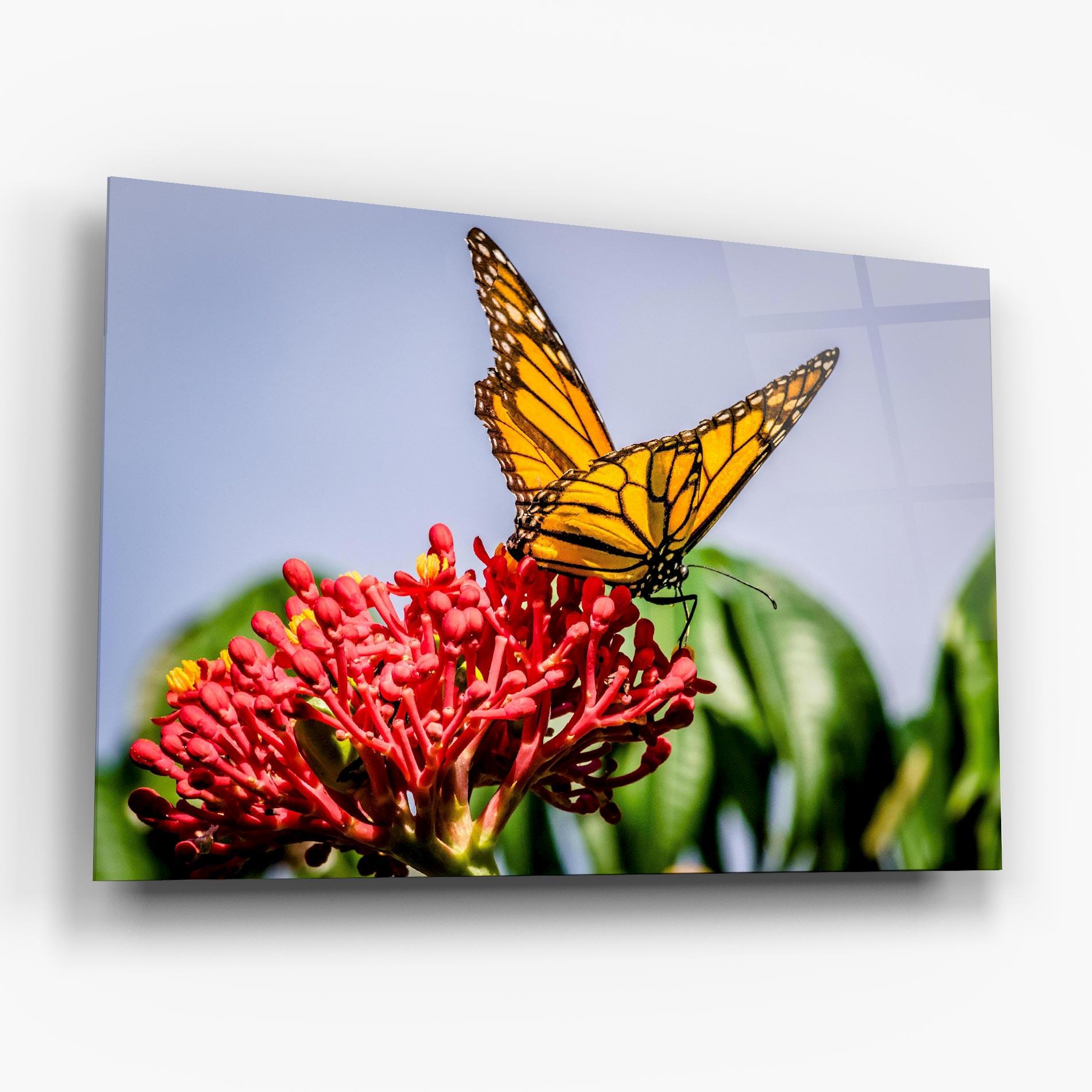 Tablou Sticla Butterfly On Red Flower mockup 6