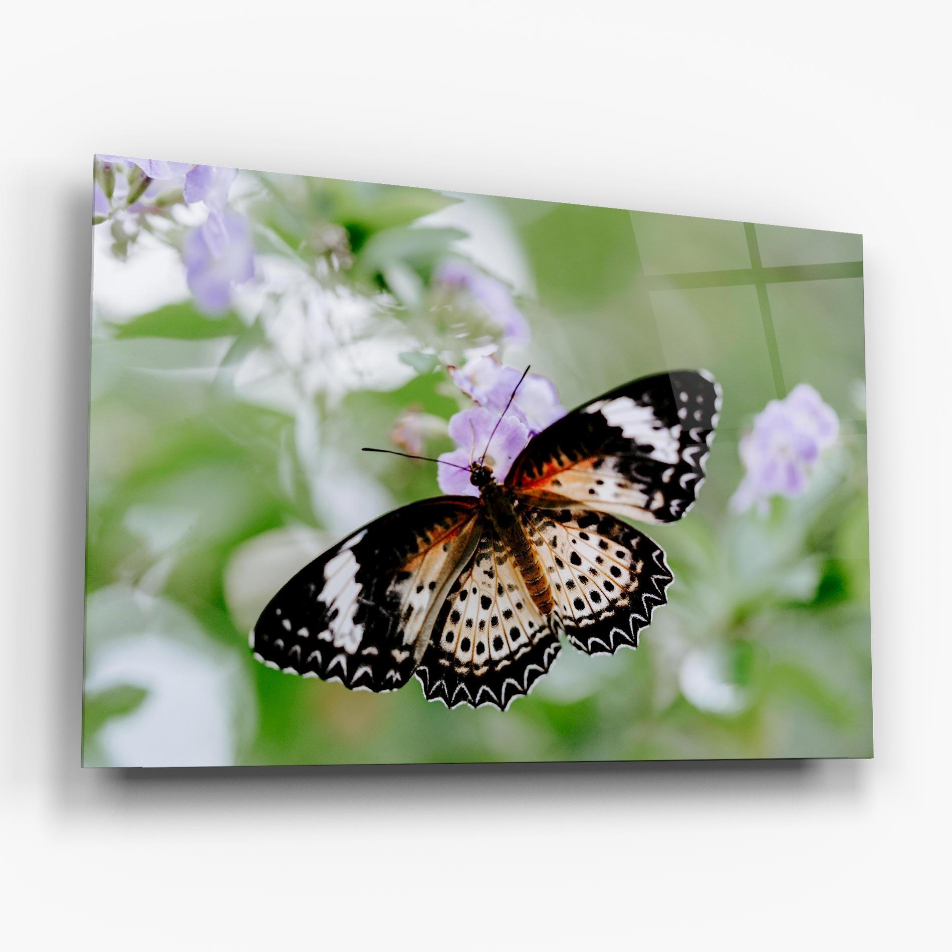 Tablou Sticla Cream Orange Butterfly mockup 6