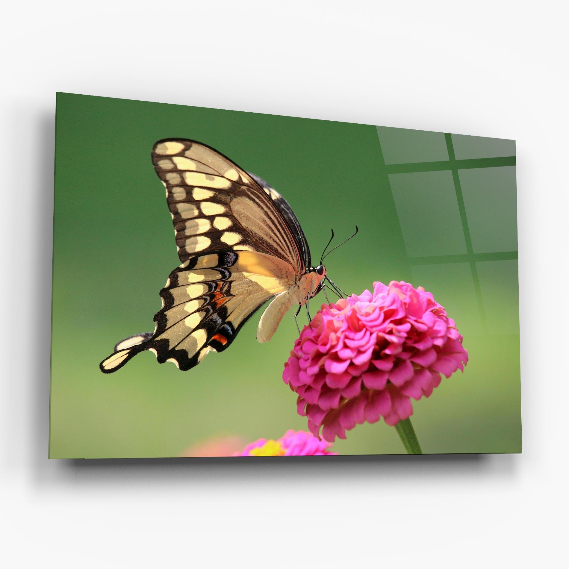 Tablou Sticla Cute Cream Butterfly mockup 6
