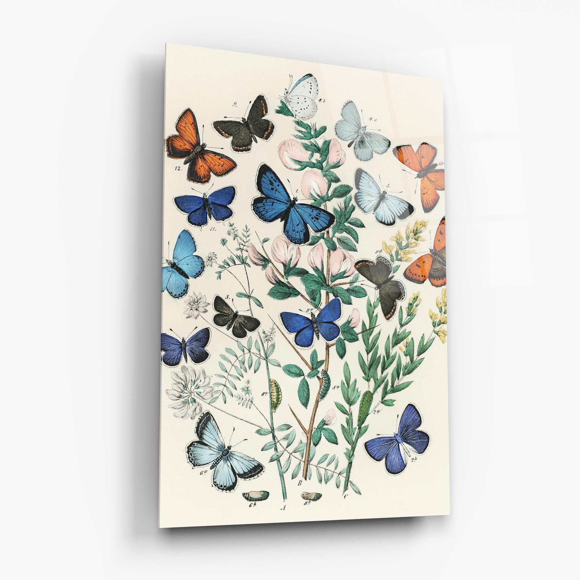 Tablou Sticla Blue Orange Butterflies mockup 6