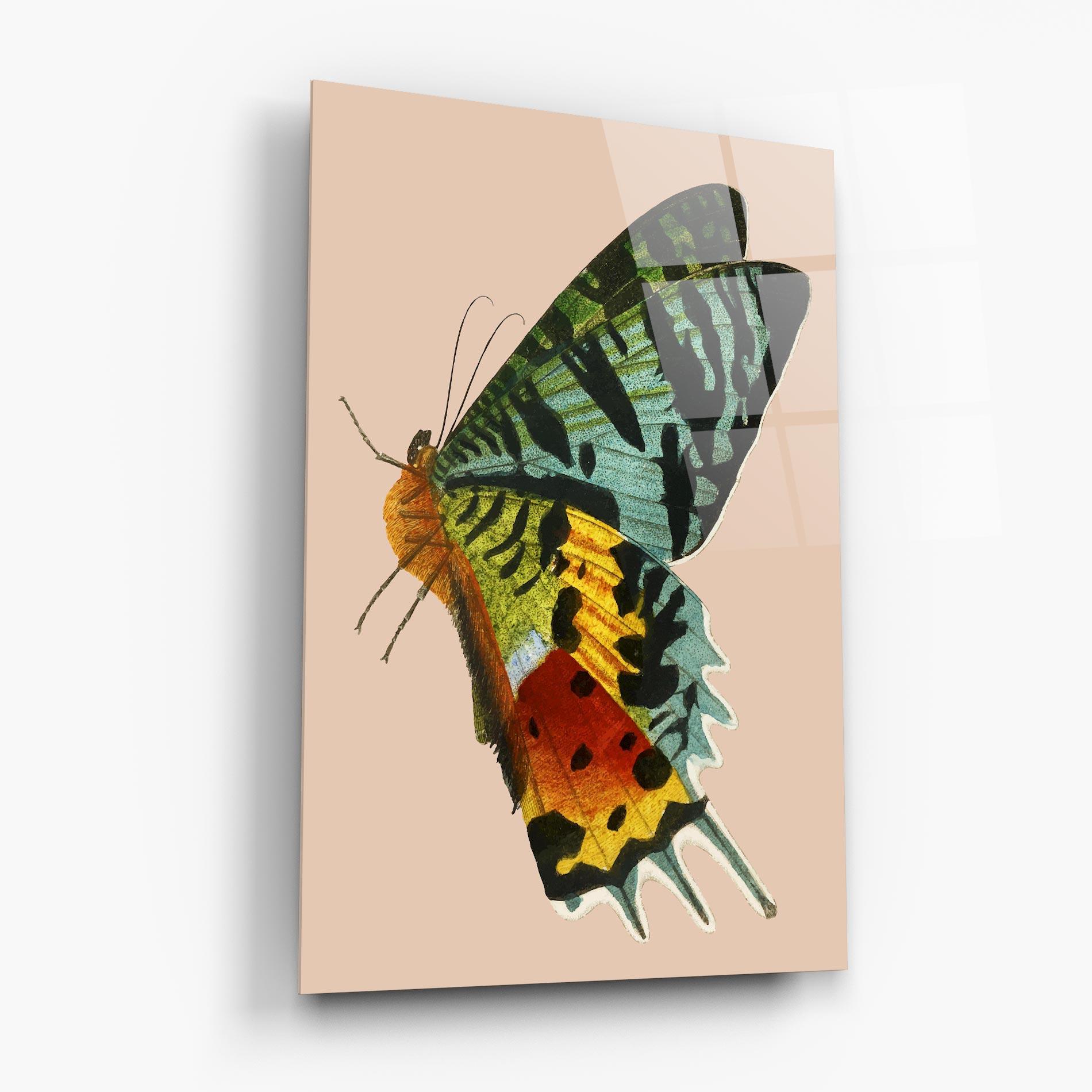 Tablou Sticla Butterfly On Pink mockup 6