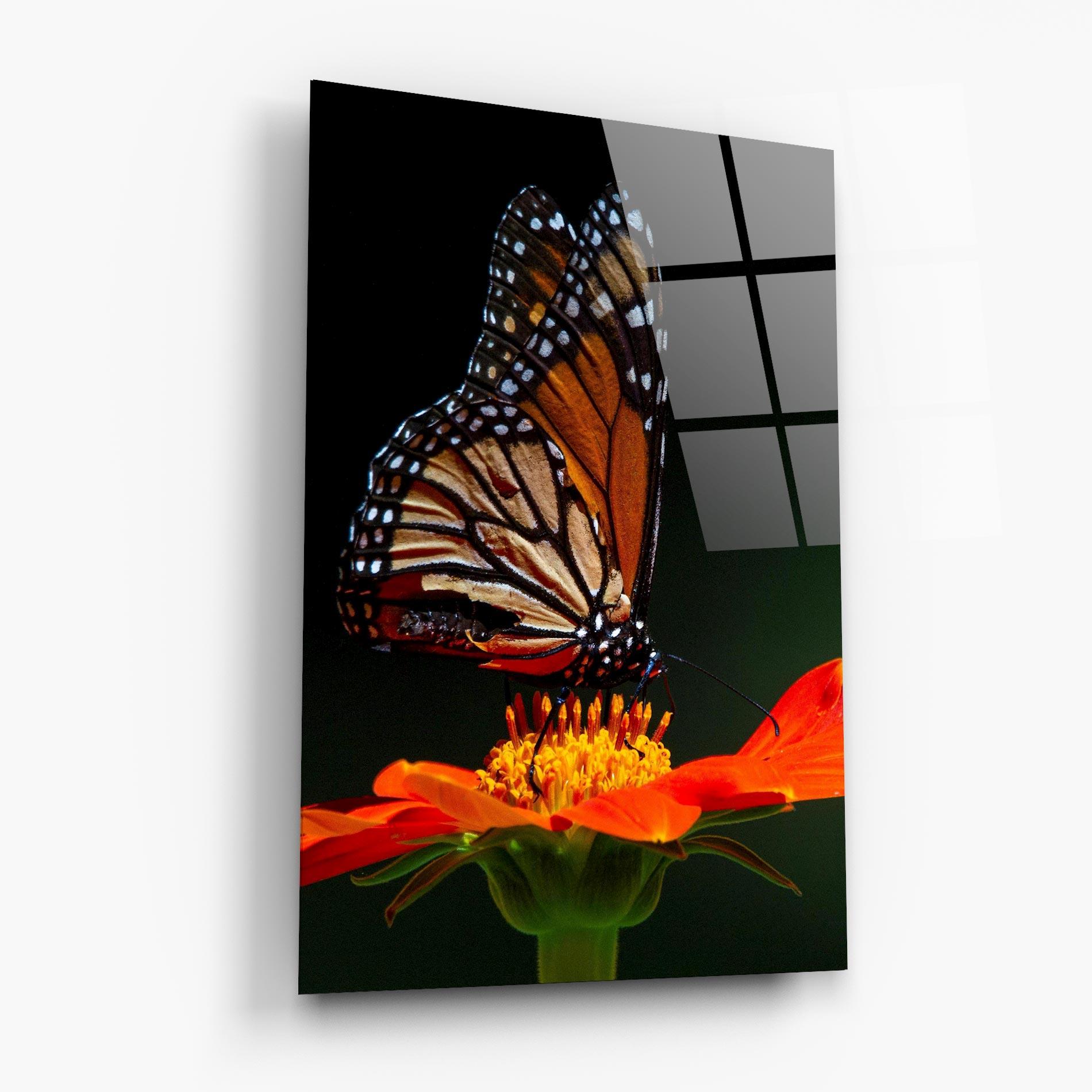 Tablou Sticla Dark Orange Butterfy mockup 6