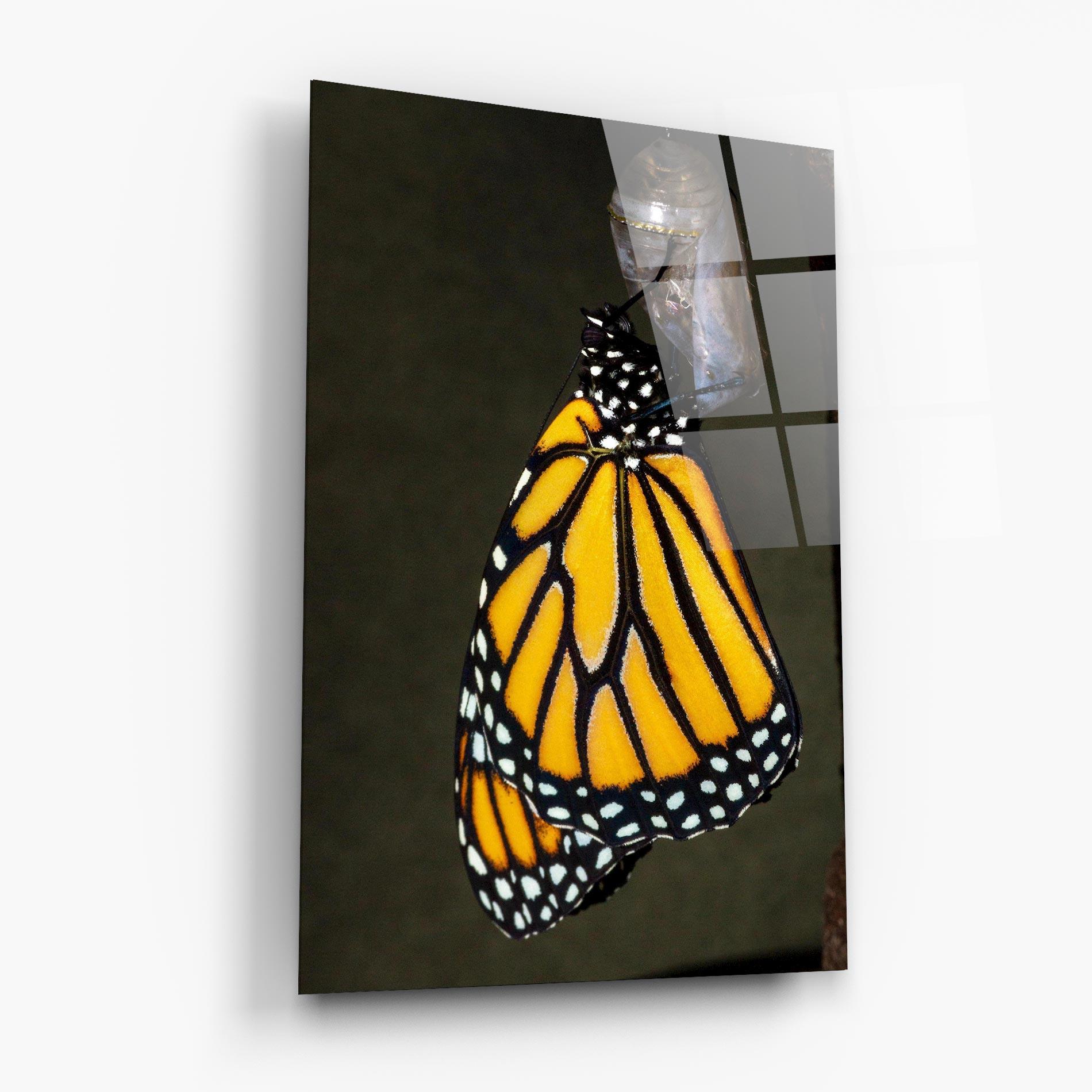 Tablou Sticla Dark Yellow Butterfly mockup 6