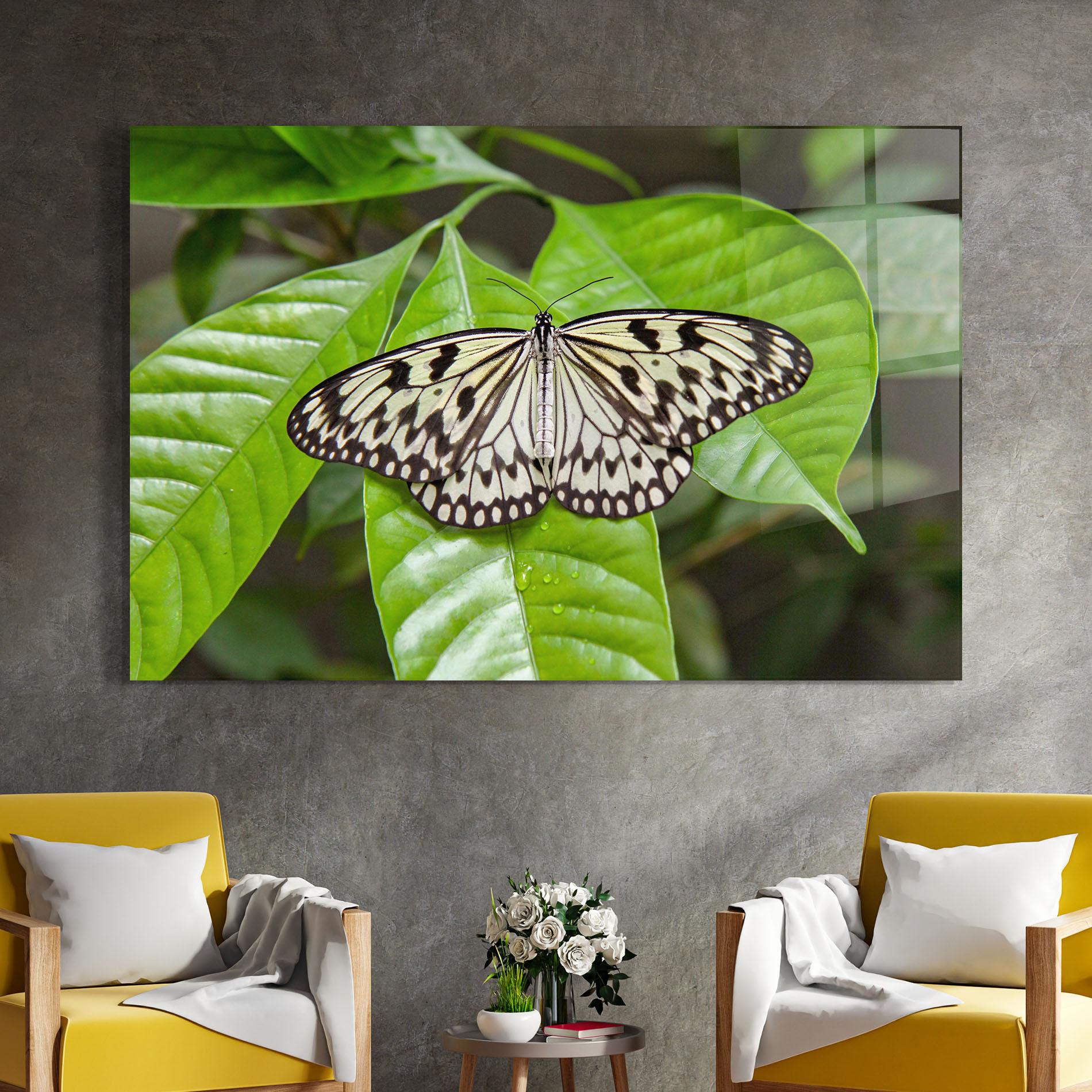 Tablou Sticla Beautiful White Butterfly mockup 4