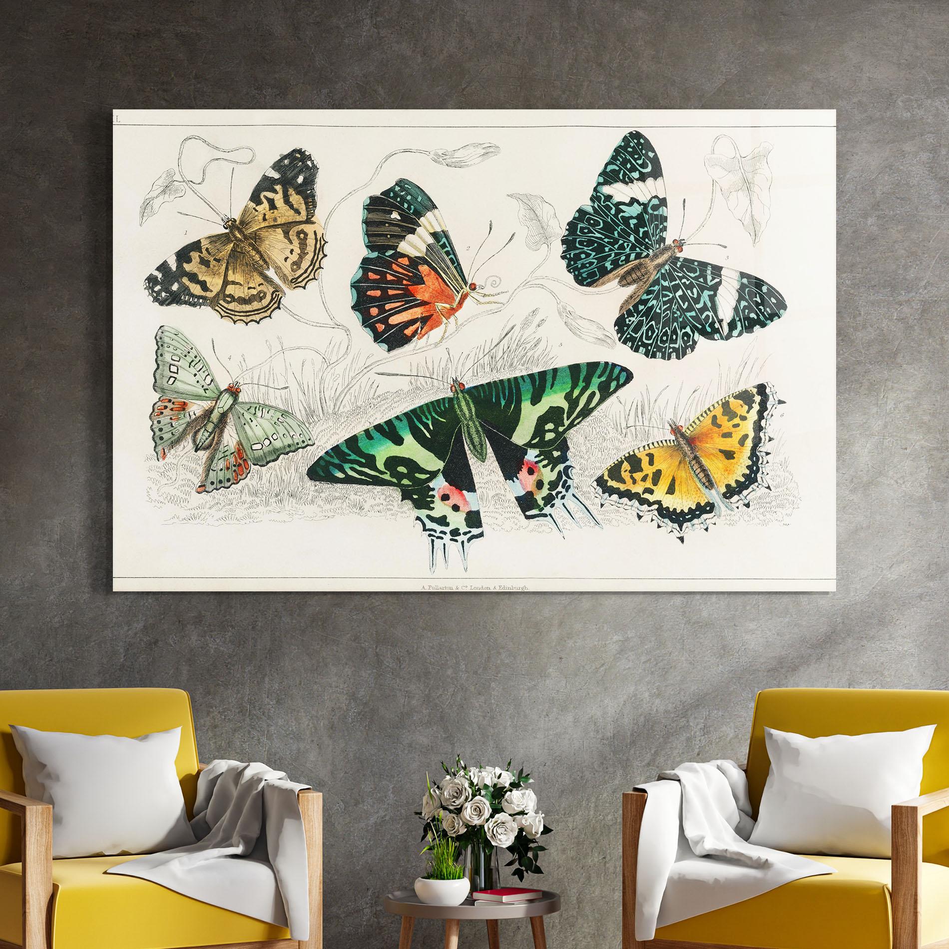 Tablou Sticla Butterfly Art mockup 4