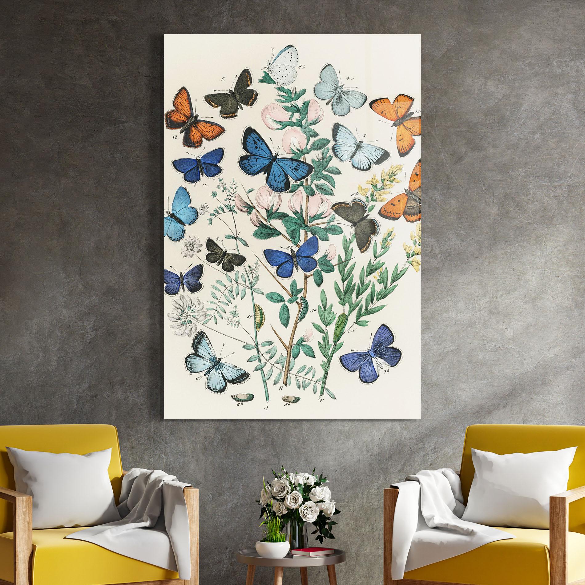 Tablou Sticla Blue Orange Butterflies mockup 4