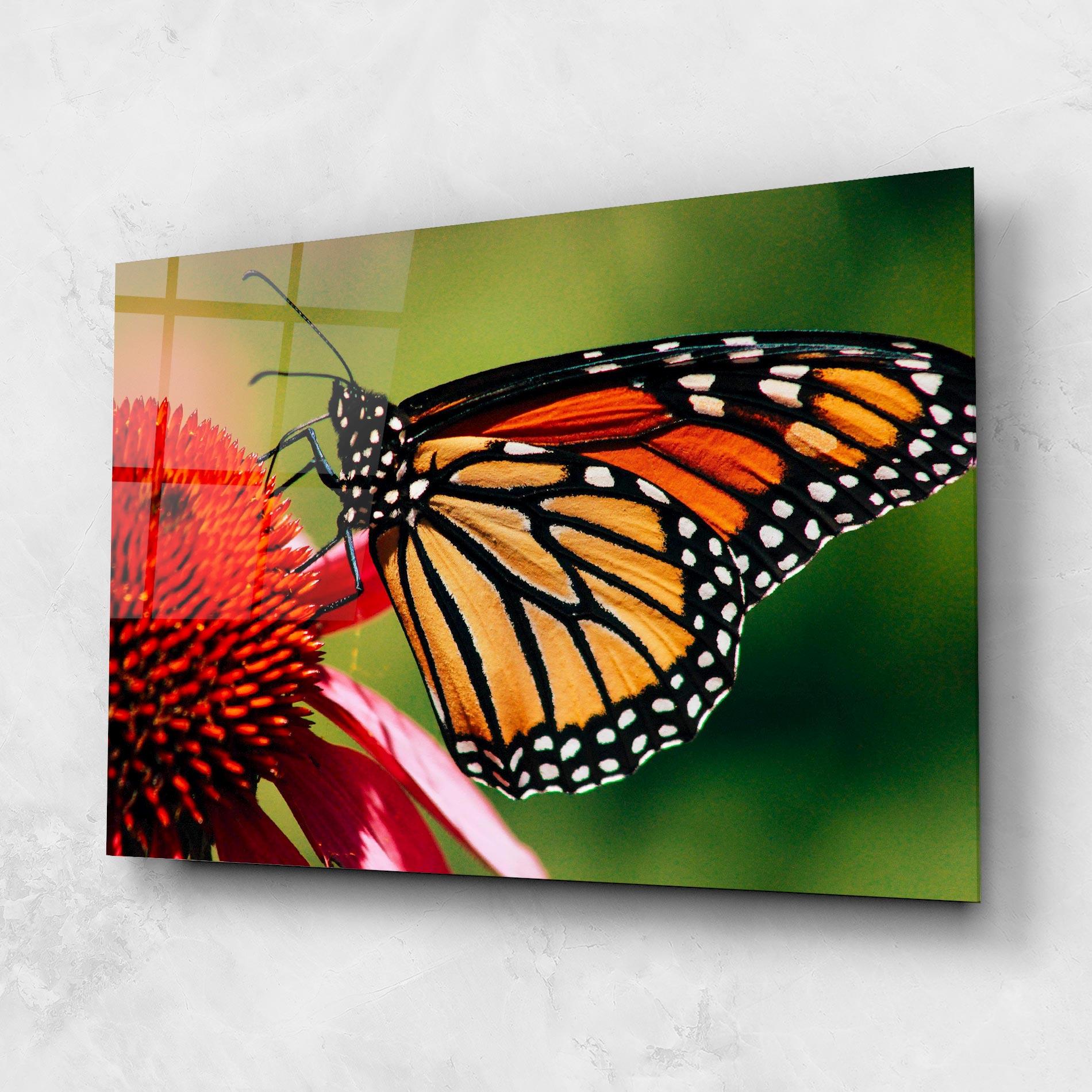 Tablou Sticla Big Orange Butterfly mockup 1