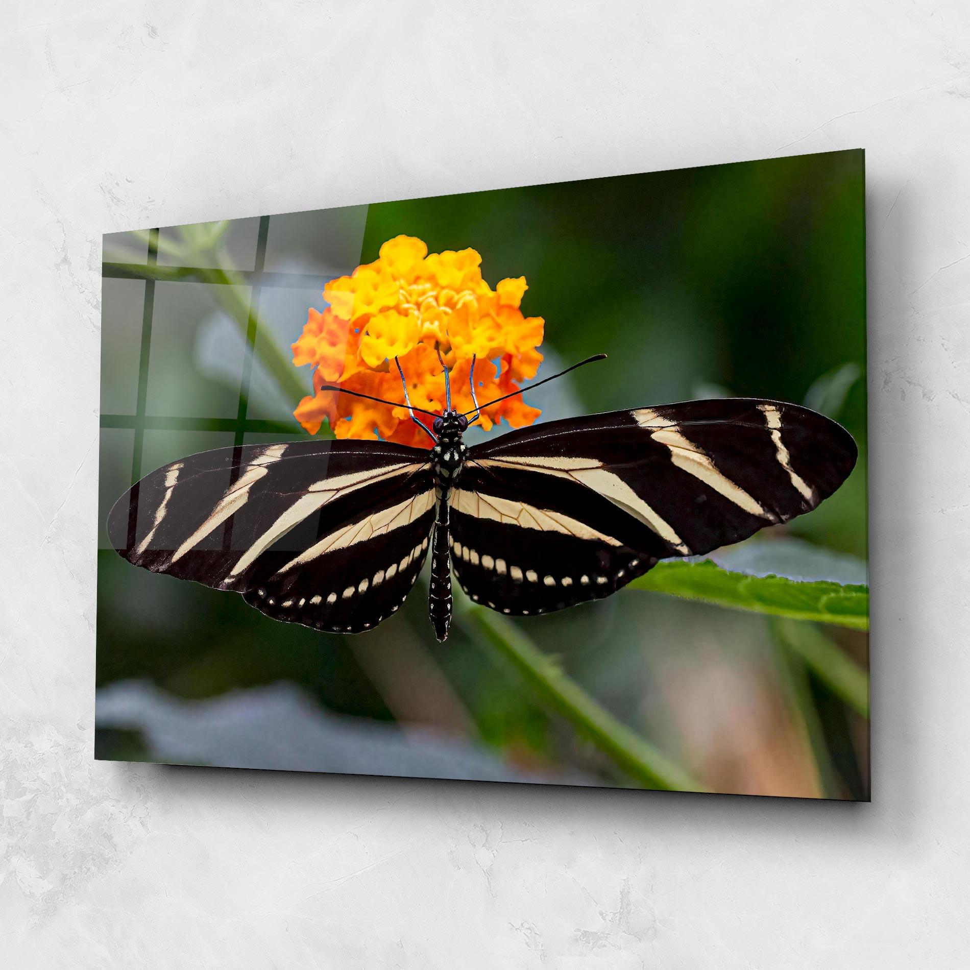 Tablou Sticla Big Wings Butterfly mockup 1