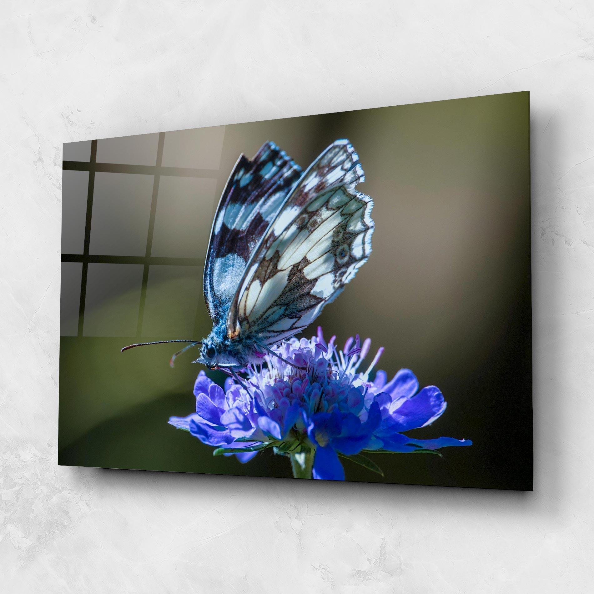 Tablou Sticla Blue Butterfly In Nature mockup 1