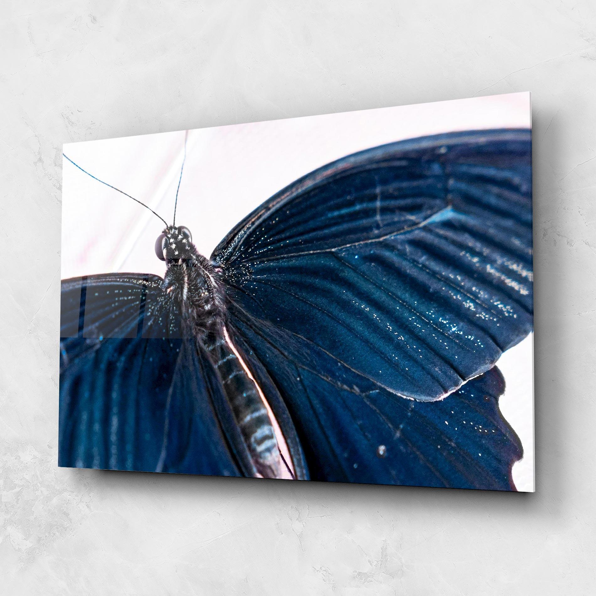 Tablou Sticla Blue Butterfly mockup 1
