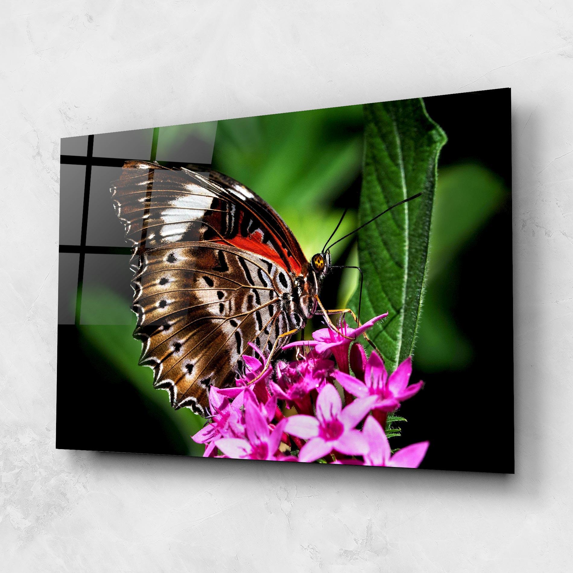 Tablou Sticla Brown Red Butterfly mockup 1