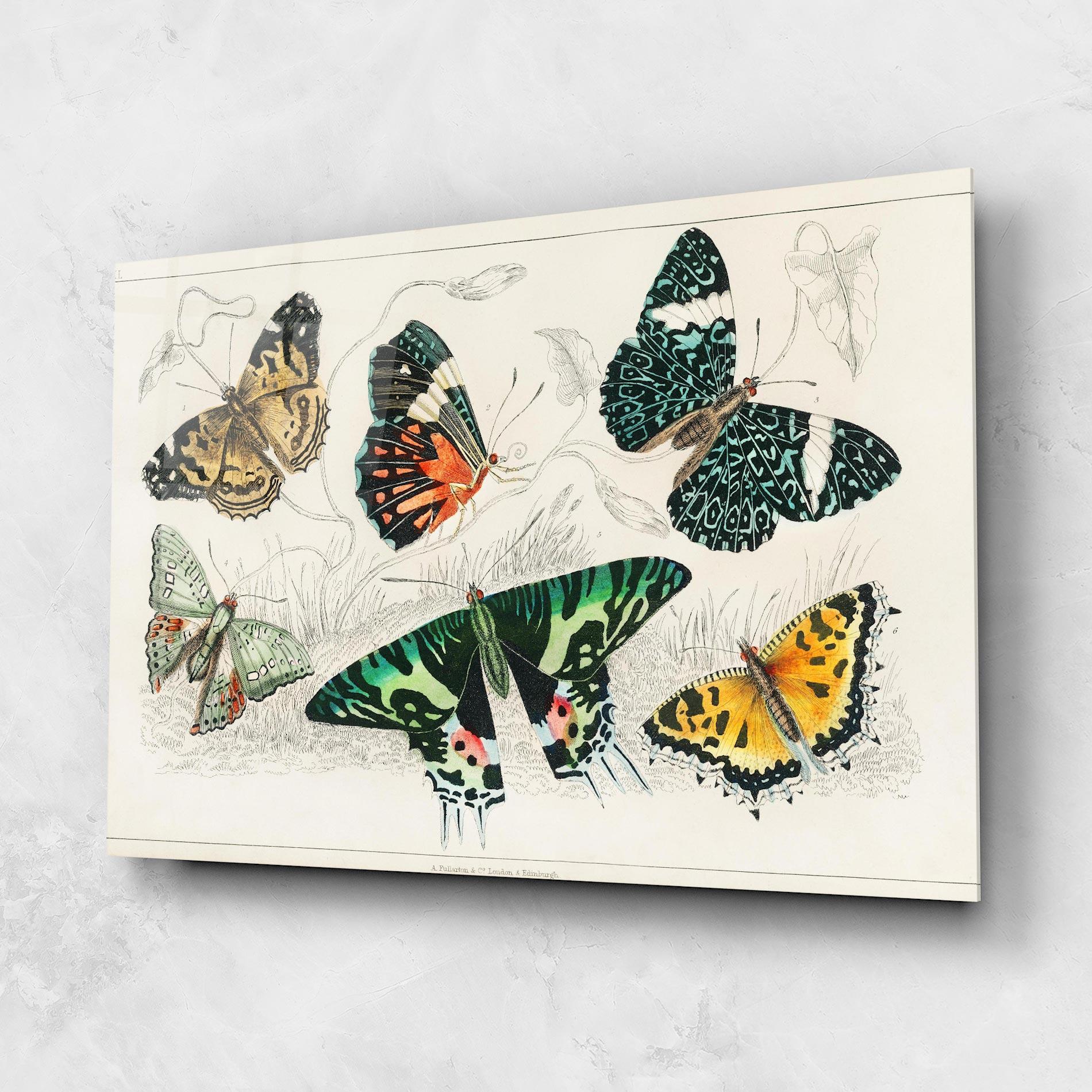 Tablou Sticla Butterfly Art mockup 1