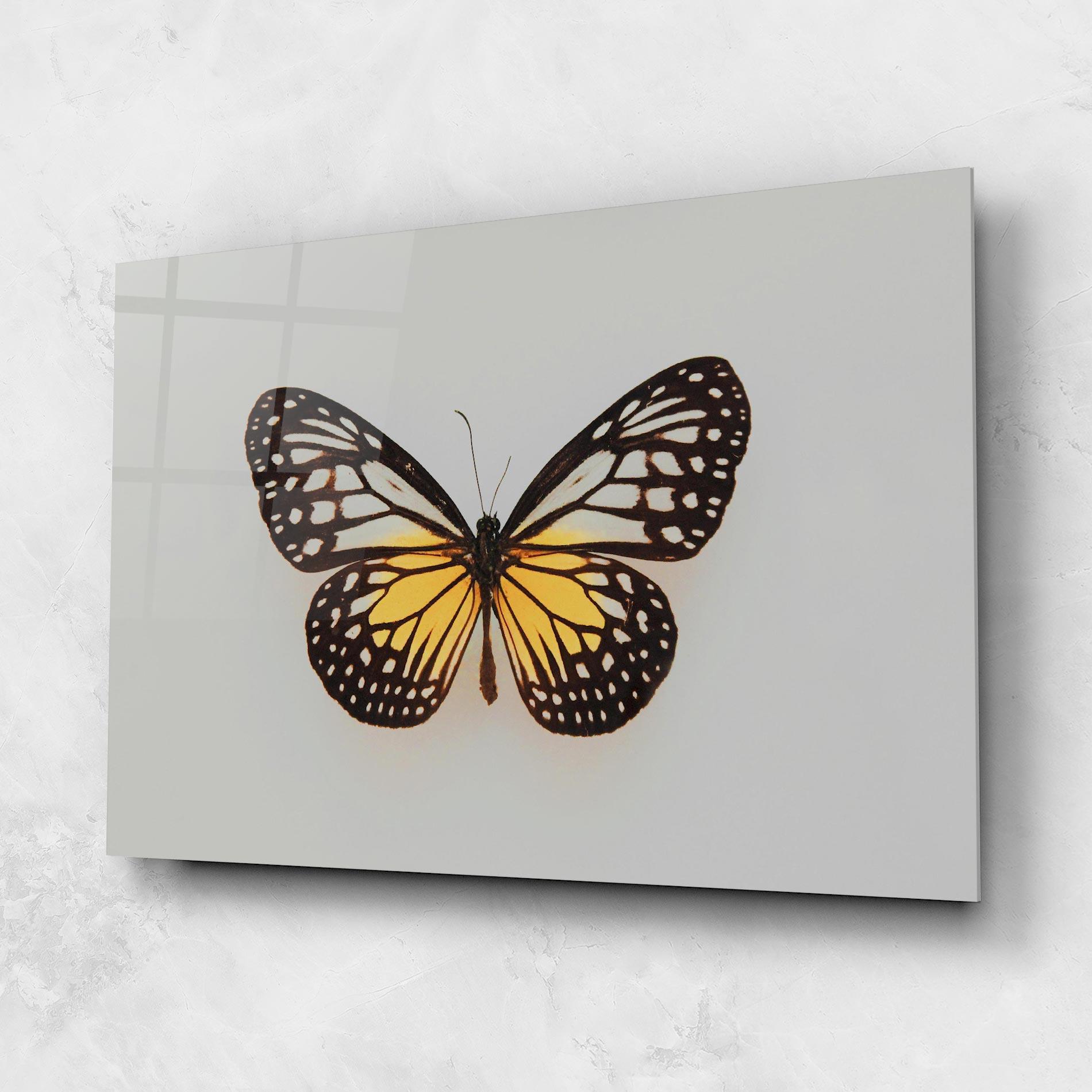 Tablou Sticla Butterfly On Grey mockup 1